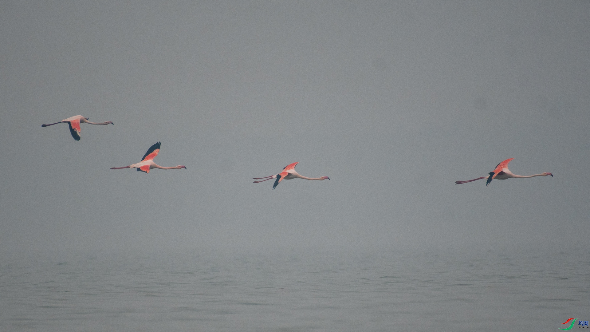 _DSC3567.jpg