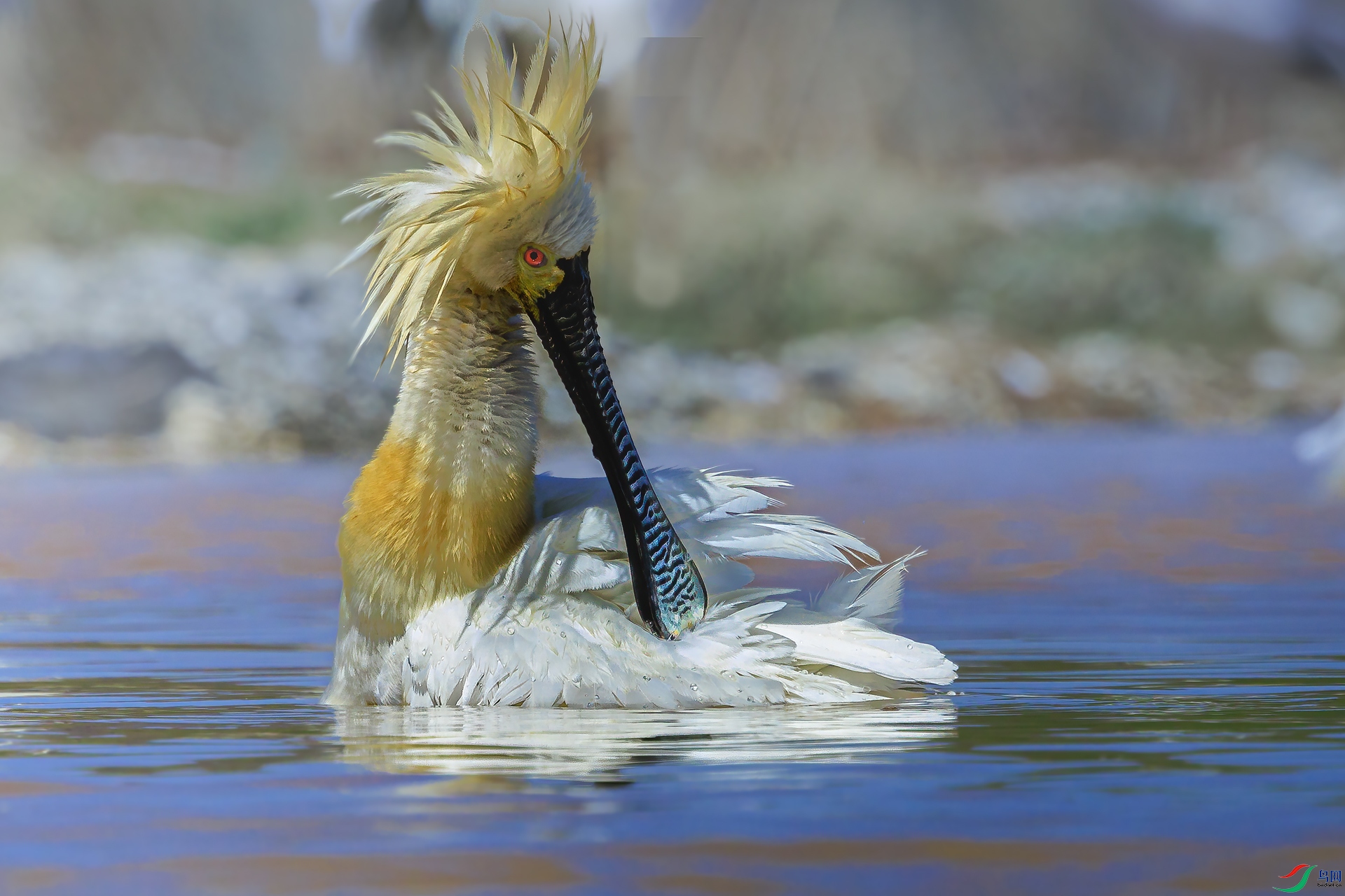 ��������1M5A3863.jpg