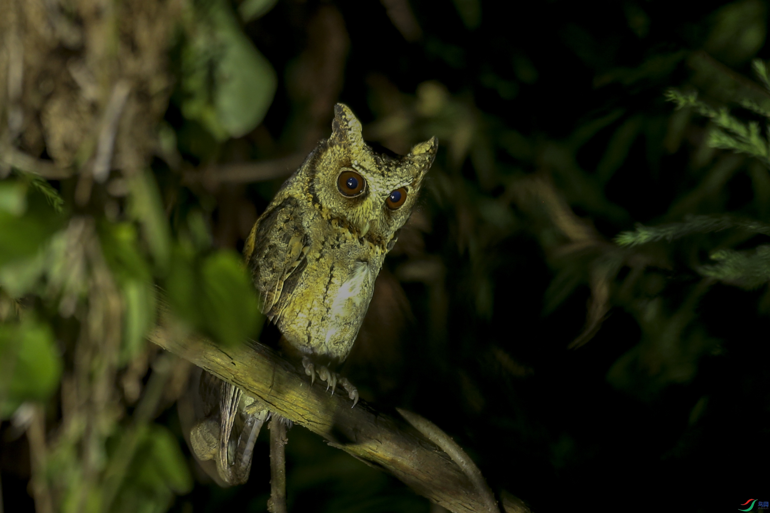 AB1I5679 ����^.JPG