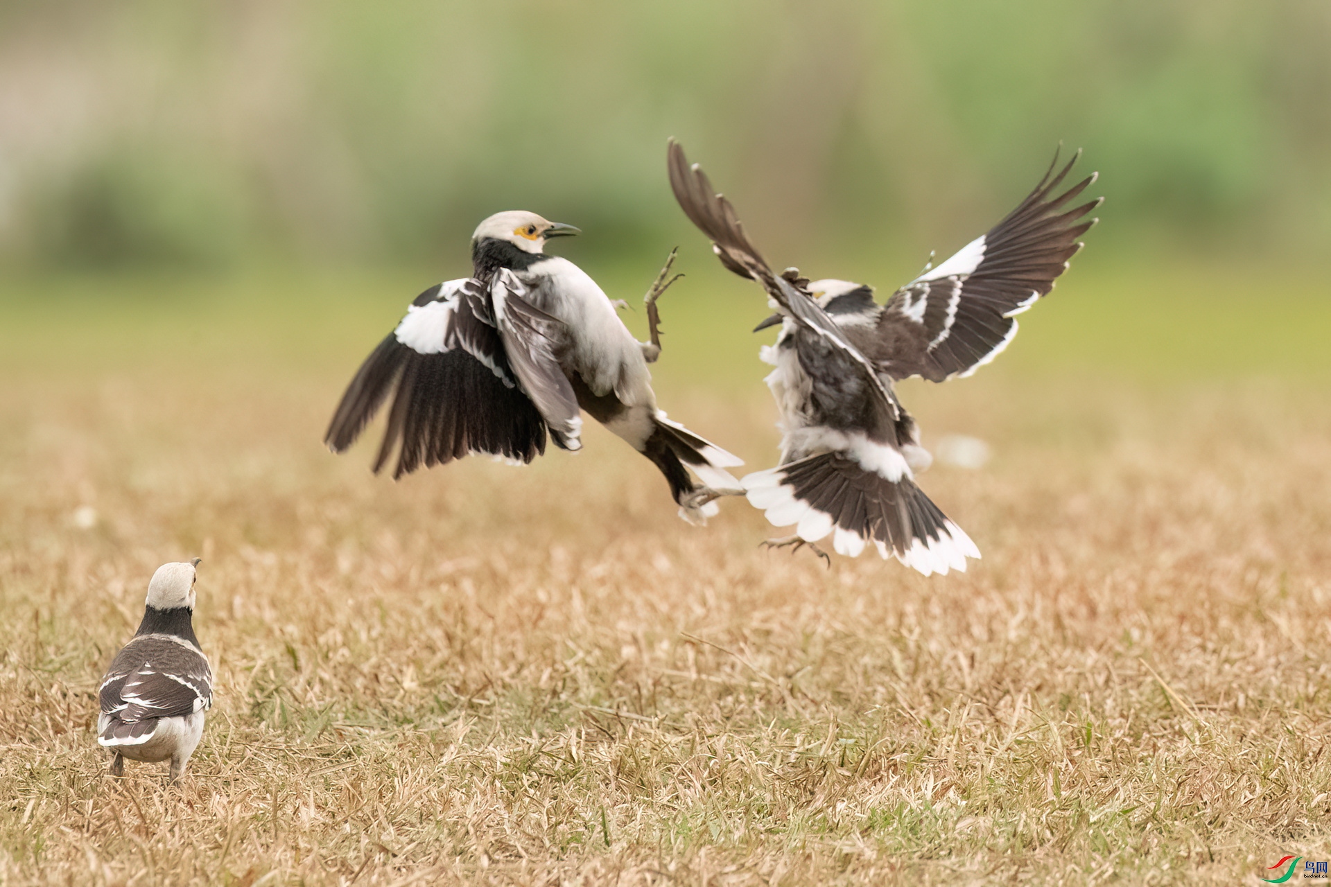 B86I4870 _����.jpg