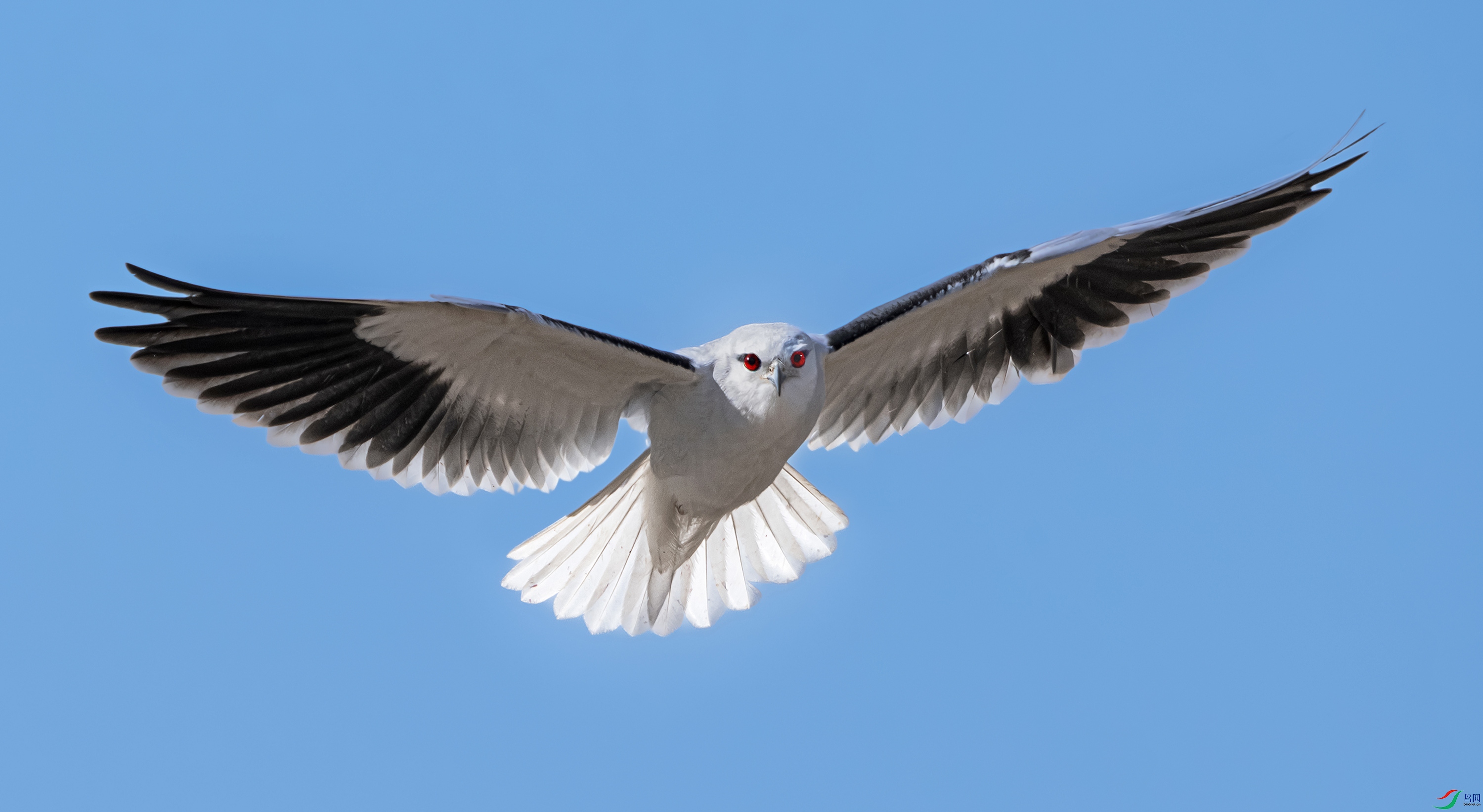 DSC_5497.jpg