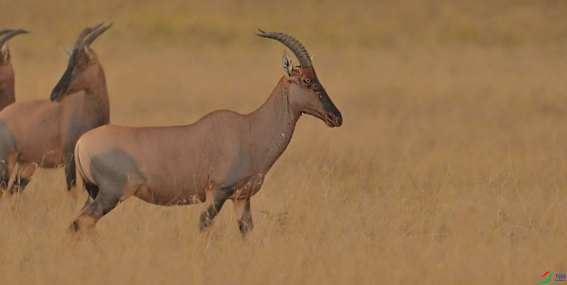 {406B5663-1B2E-45EB-B4DF-AFDB62BAB8FB} ����.jpg