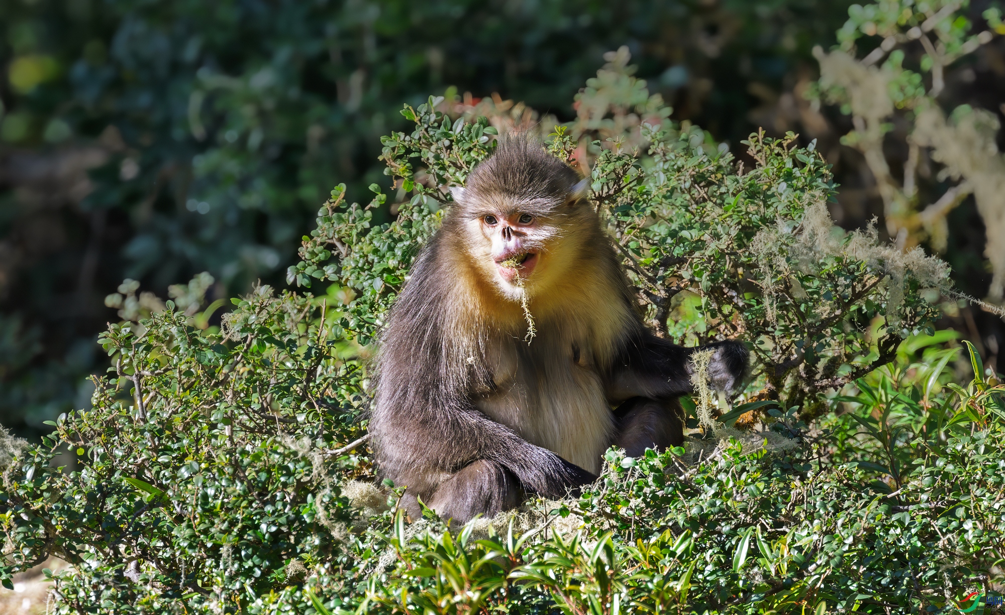 DSC_2131.jpg