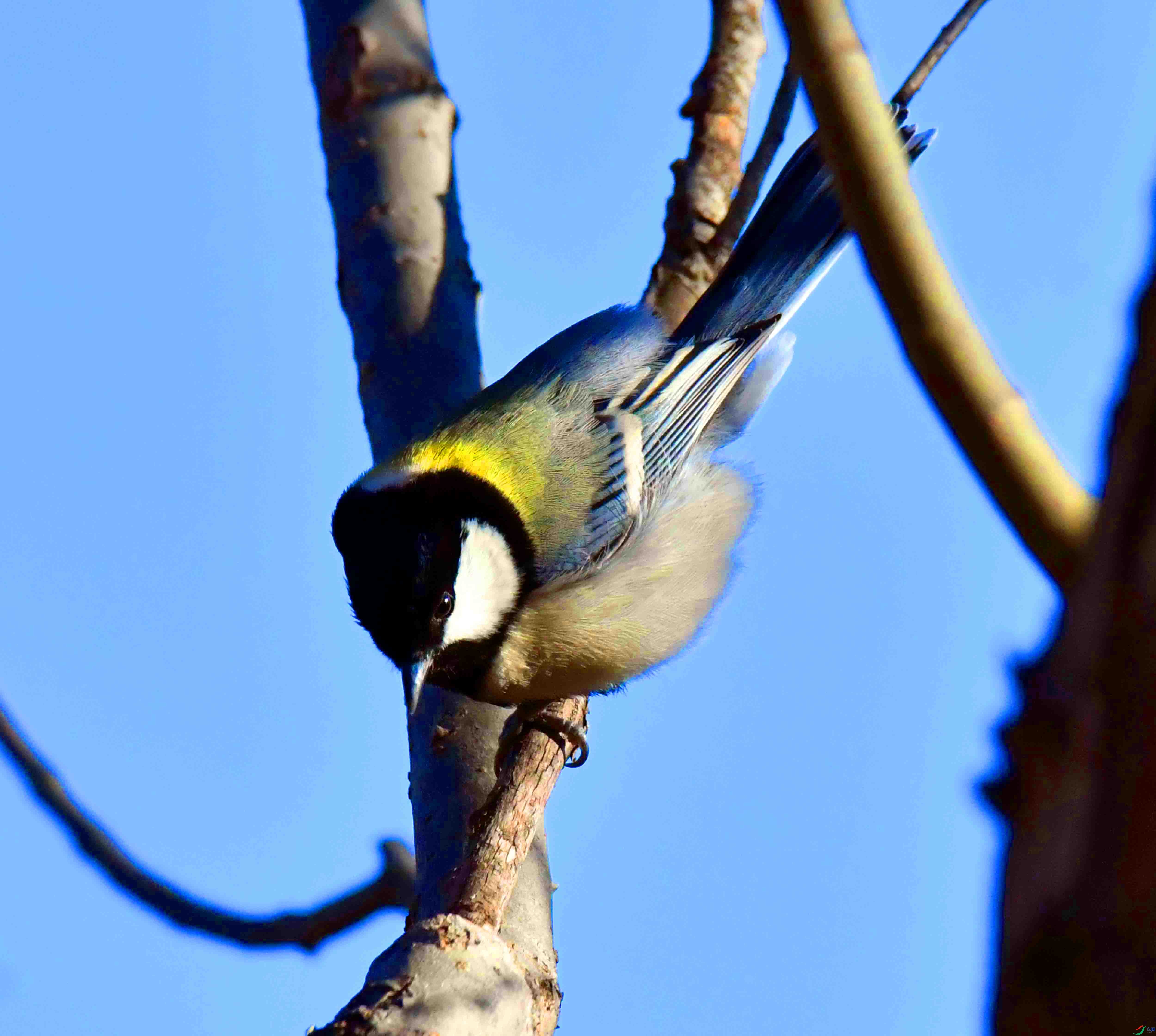 DSC_6744.JPG