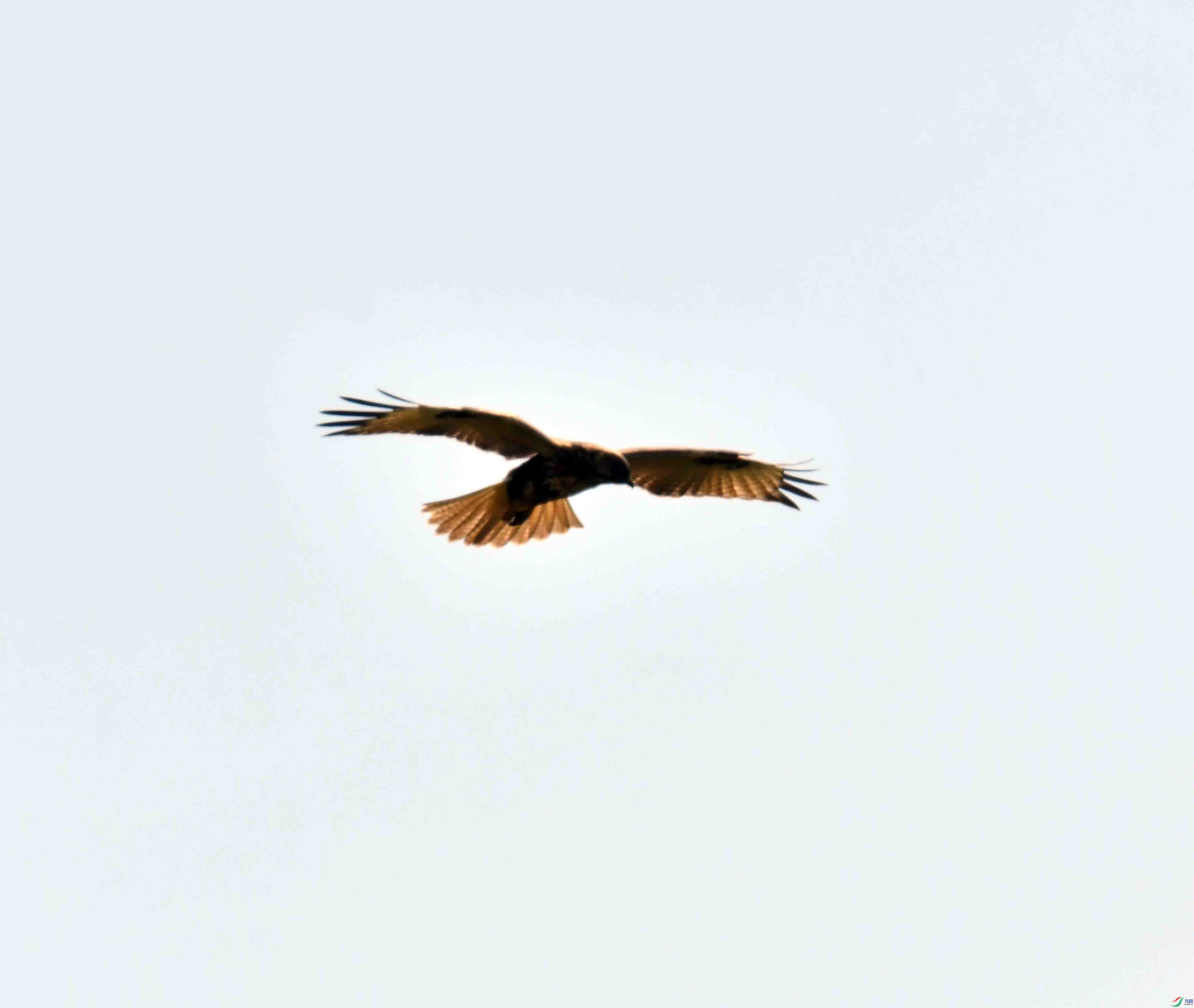 DSC_9140.JPG