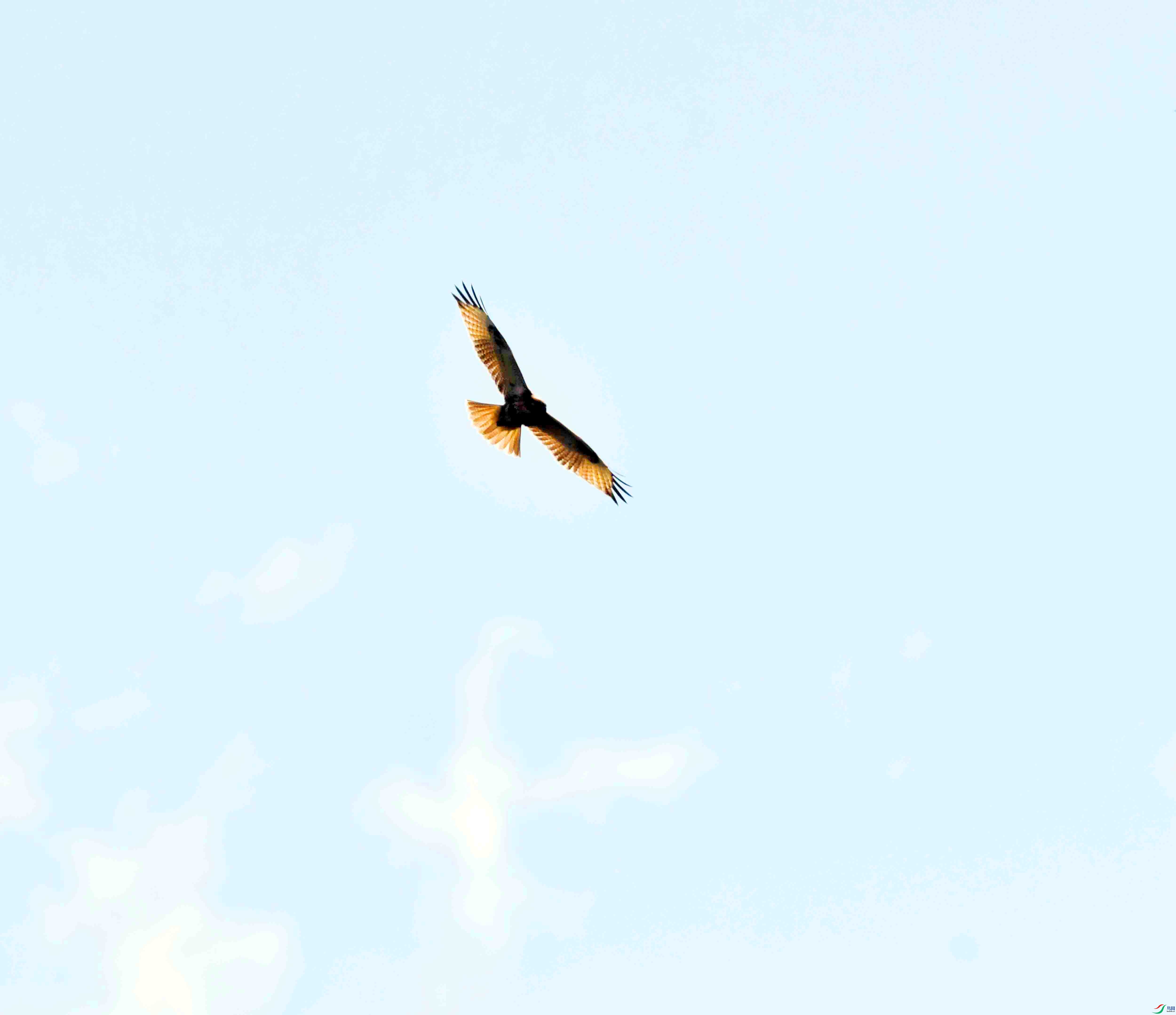 DSC_9218.JPG