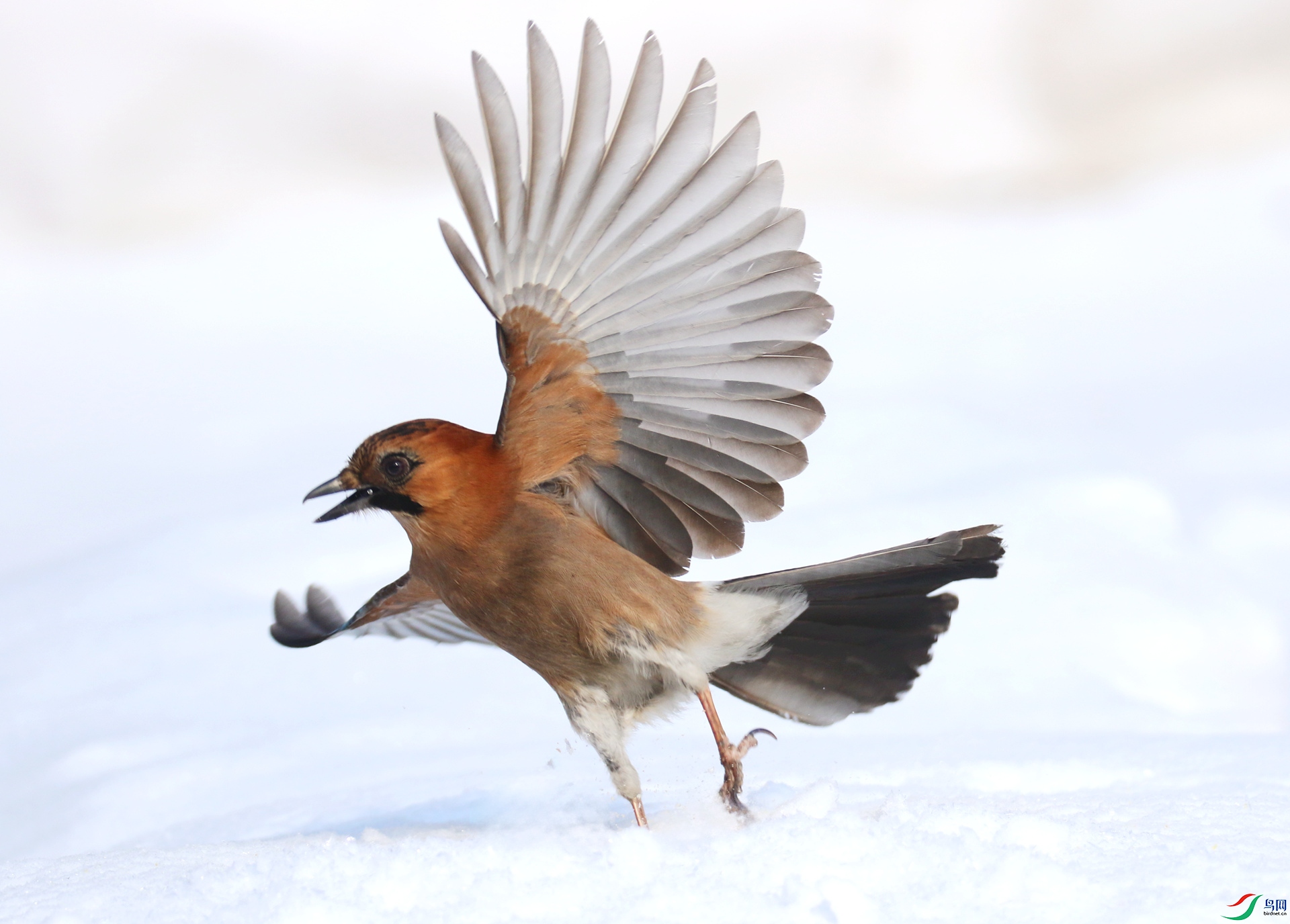 0G1A6391 ����.jpg