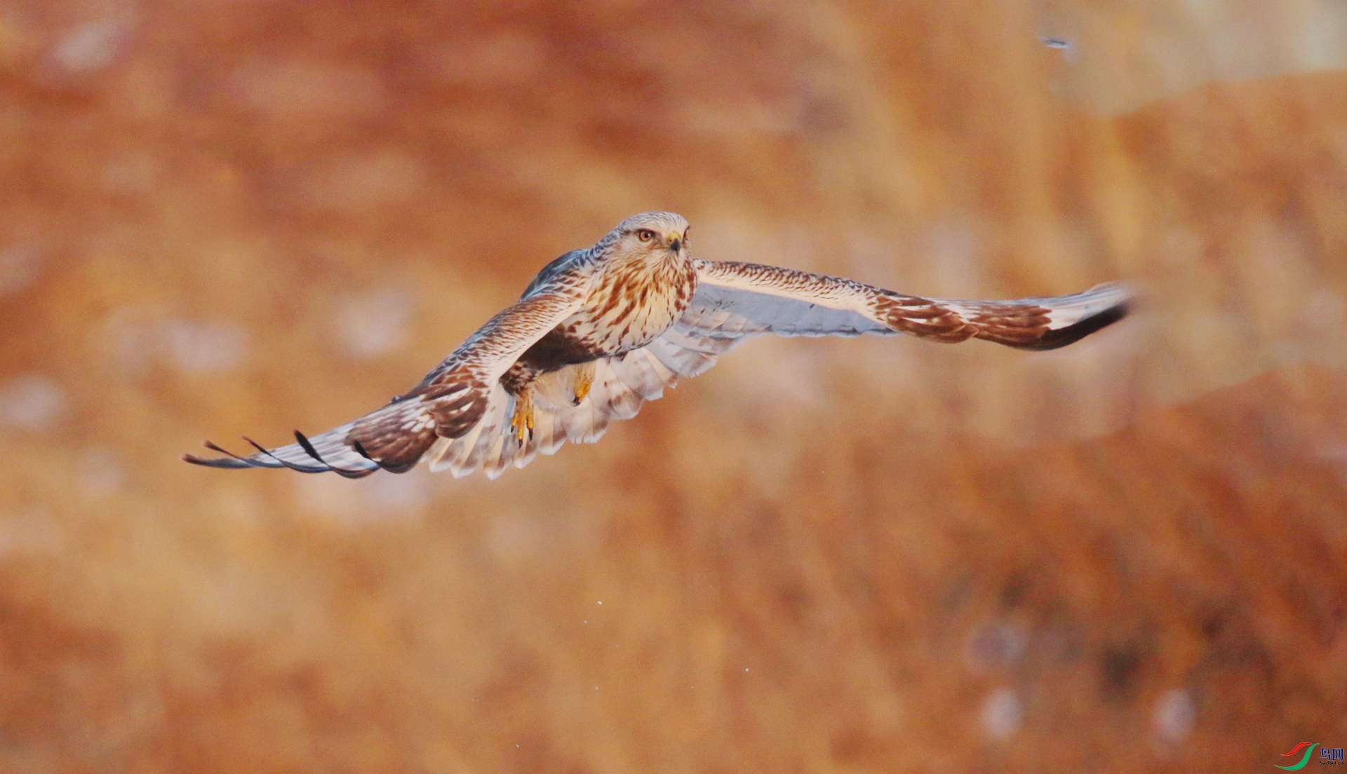 0G1A5493 ����.jpg