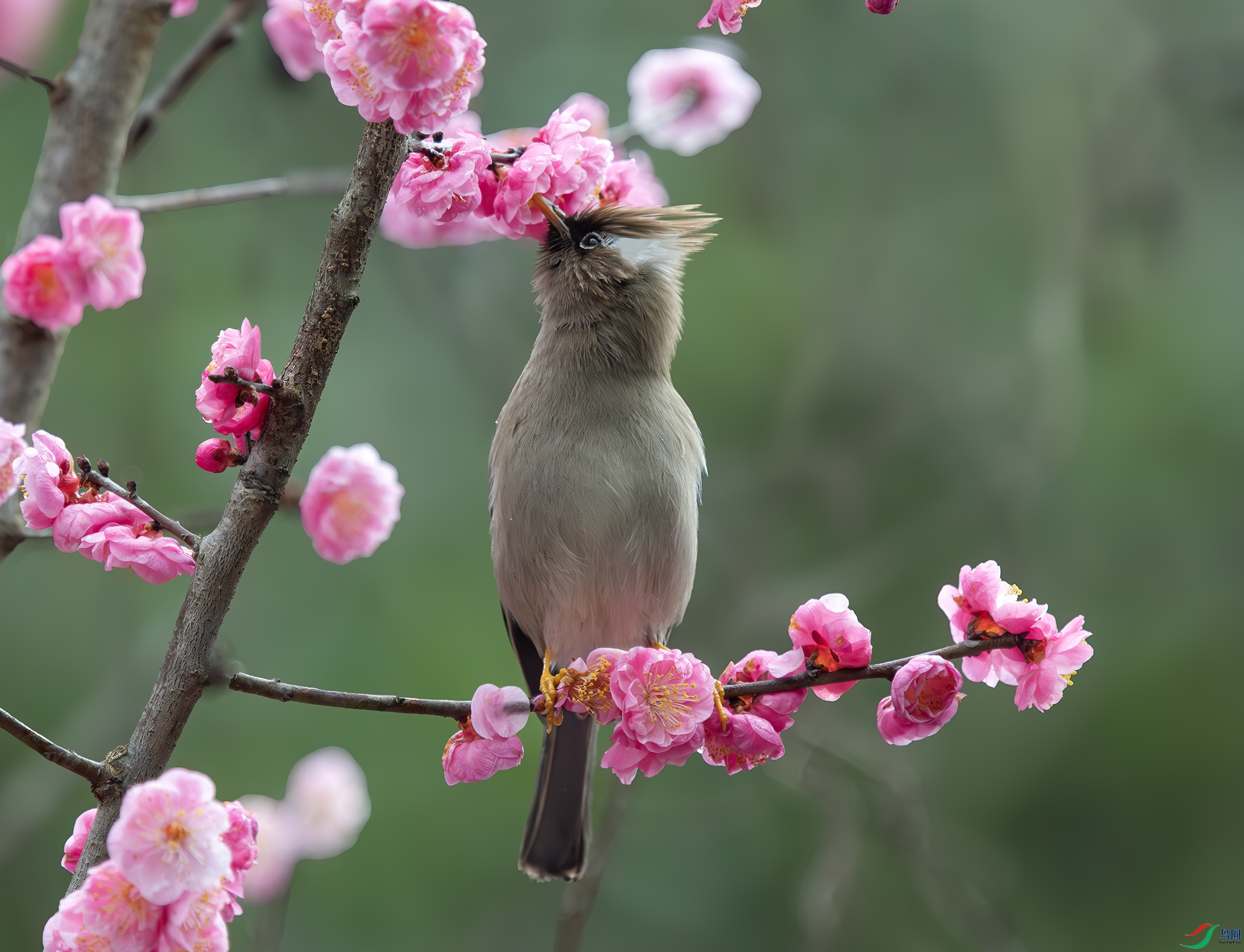 _Y211826-����ǿ-NR ����.jpg