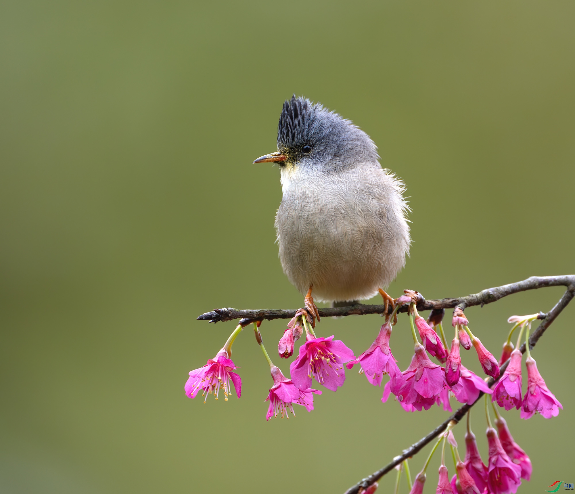 DSC_7082-����ǿ-NR ����.jpg