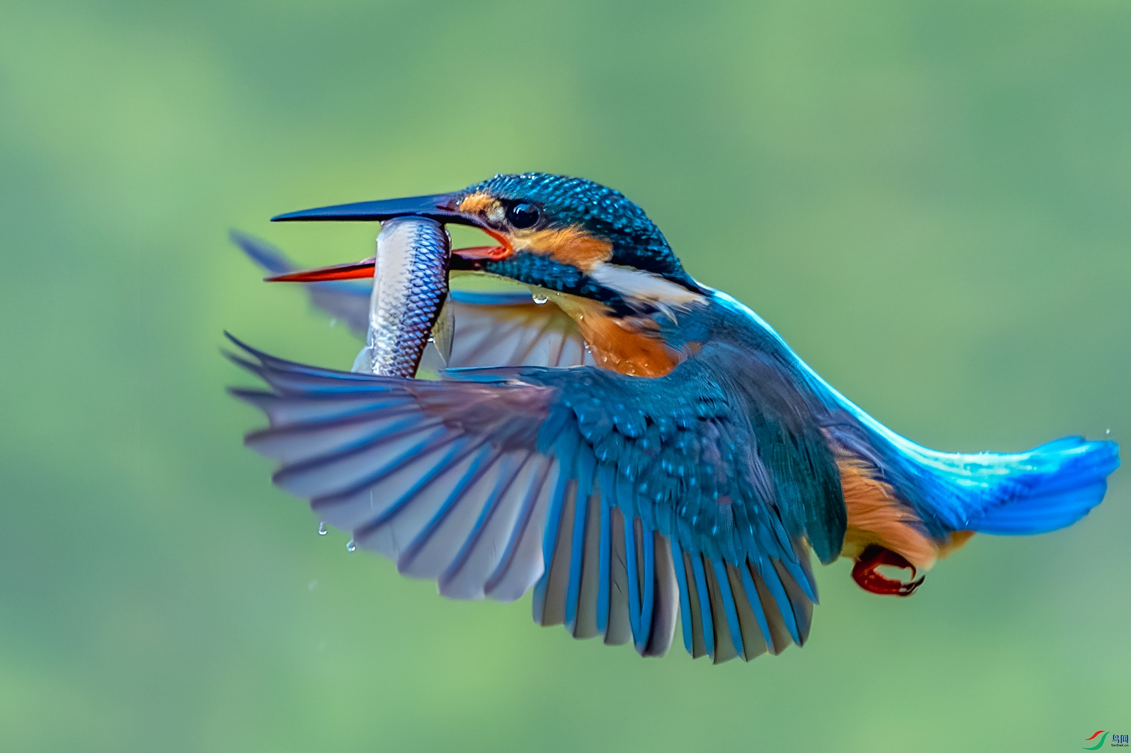 _DSC0553-����ǿ-NR ����_1.jpg