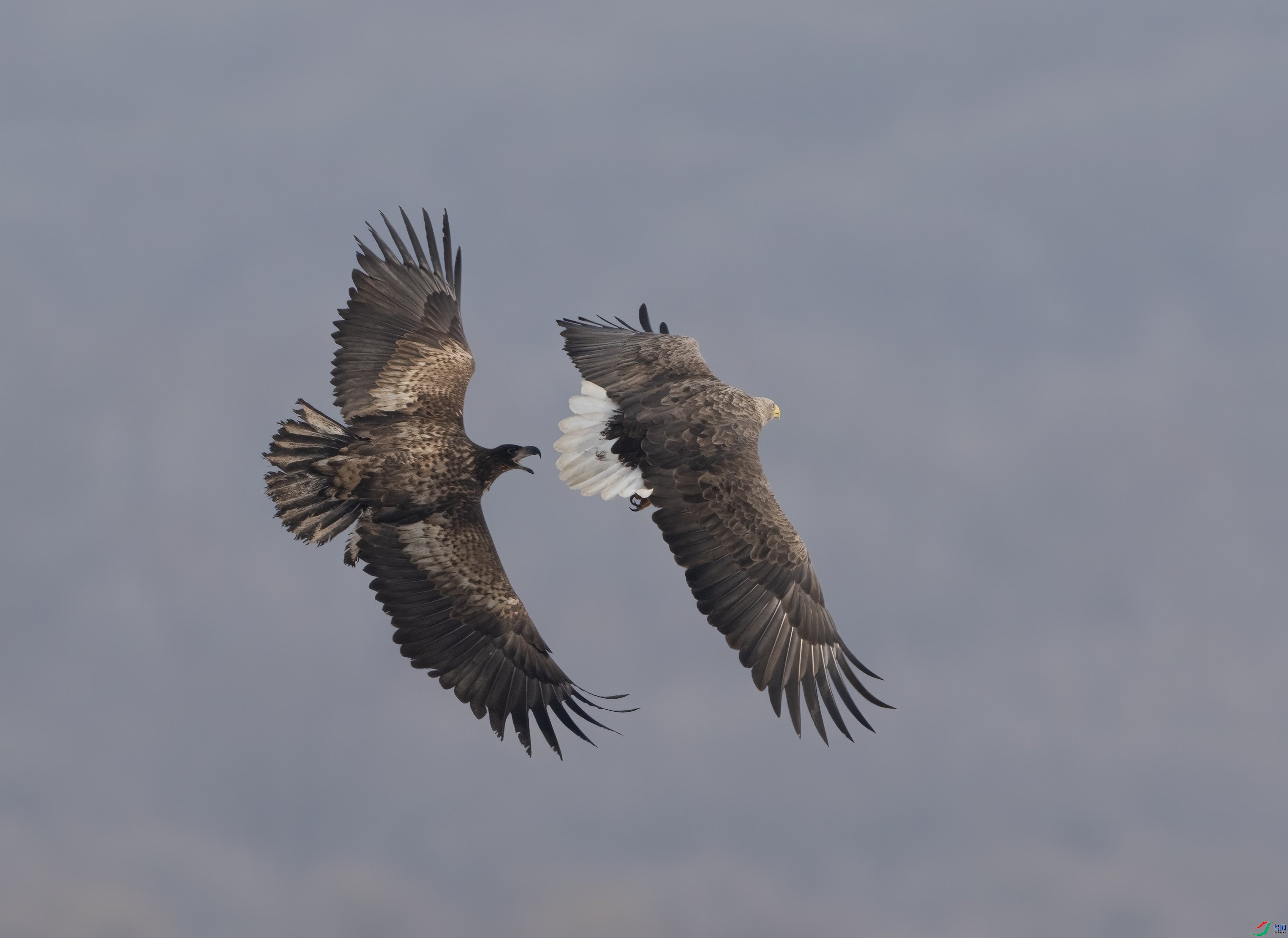 DSC09013 ����_����.jpg