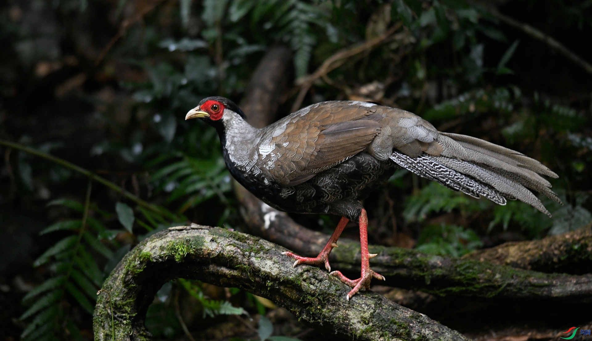DSC_0392.jpg