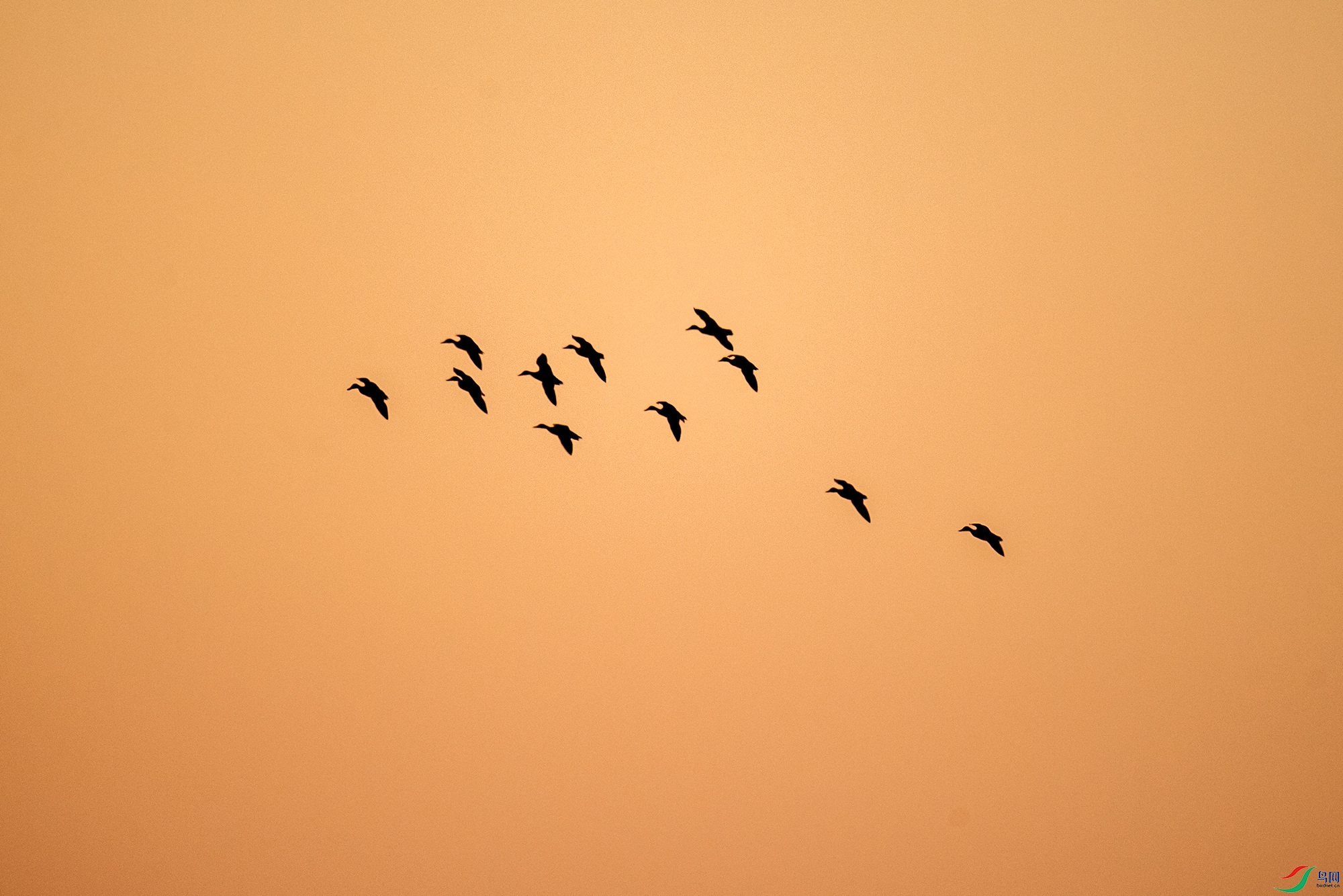 _DSC9114.jpg