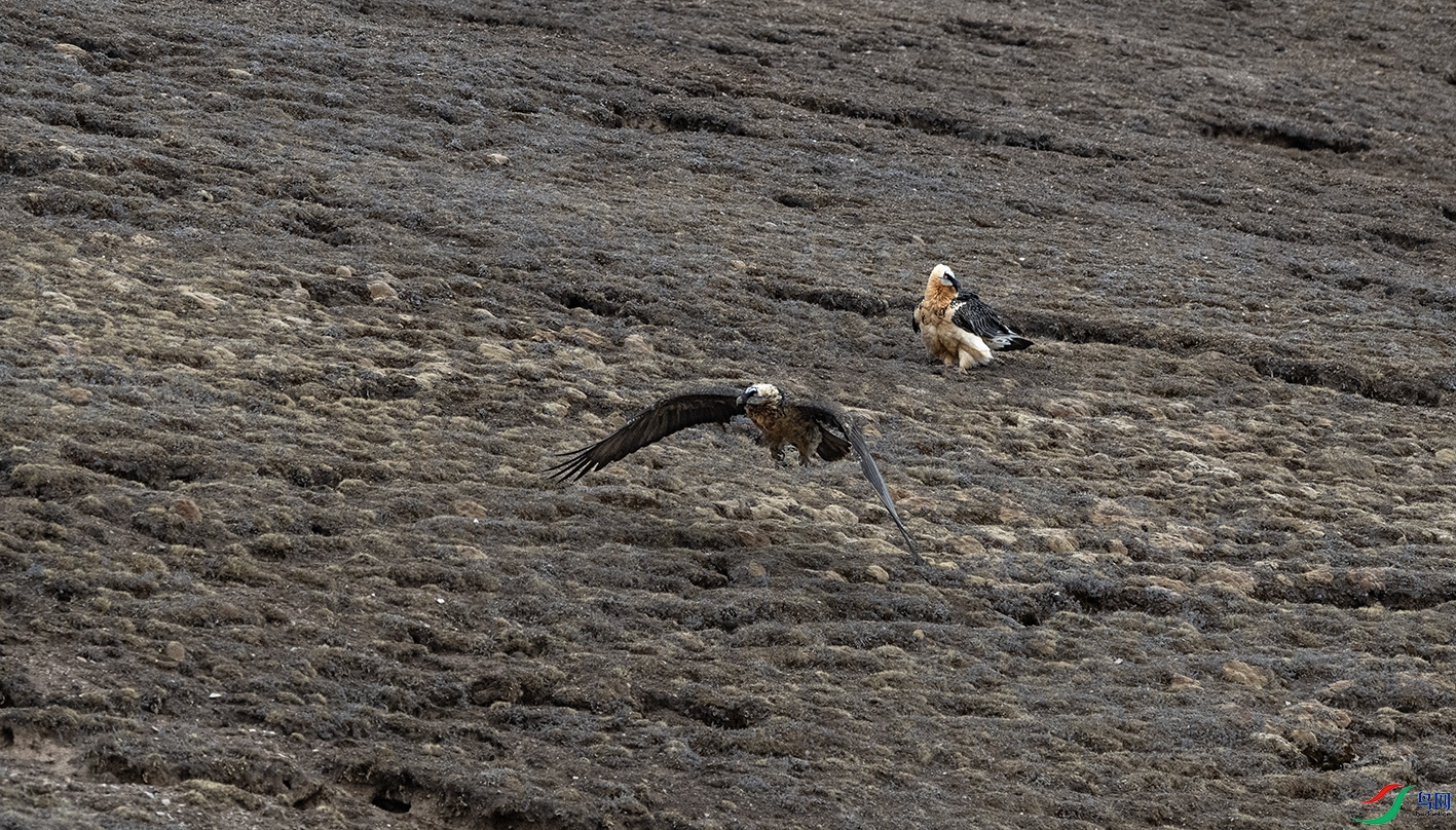 DSC_3967 ����.jpg