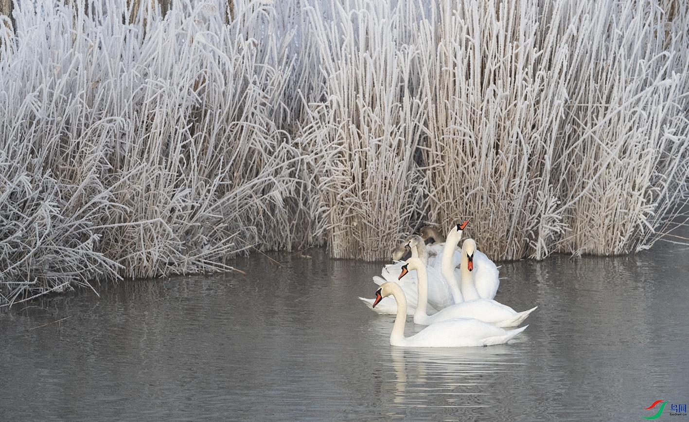 DSC_8235 ����.jpg