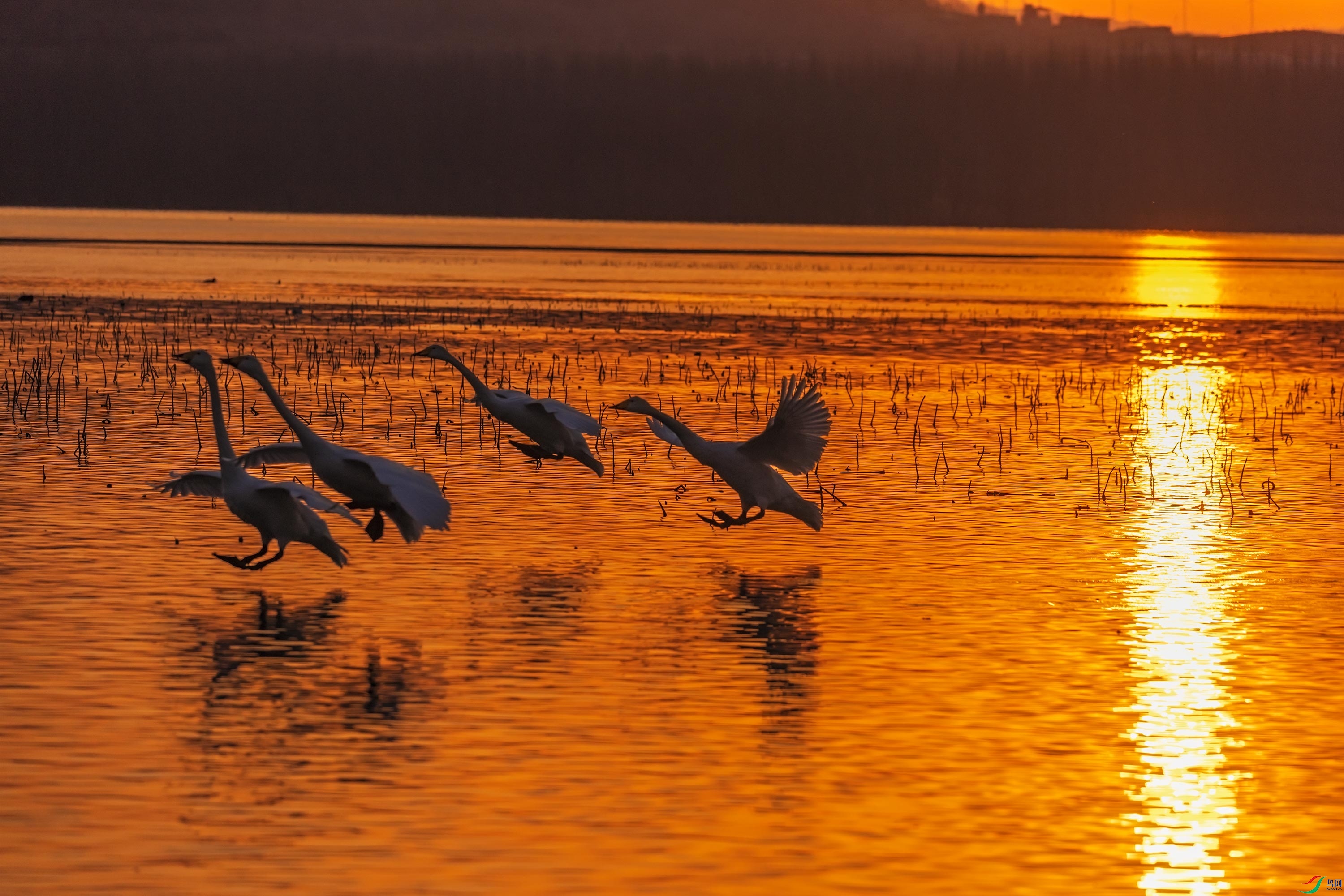 278A9314.jpg