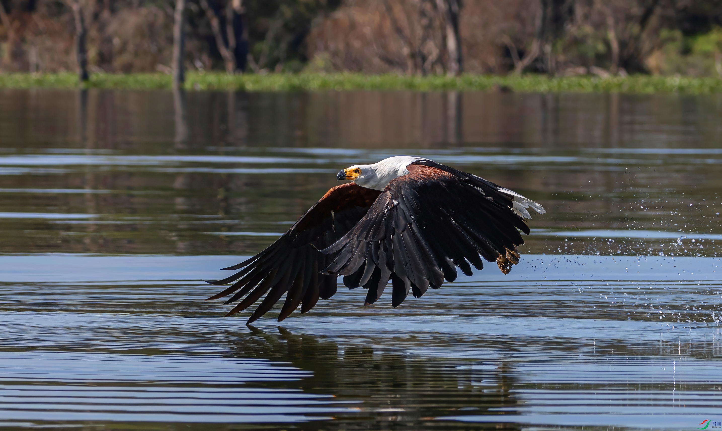 _08A8234-topaz-denoise-sharpen.jpeg