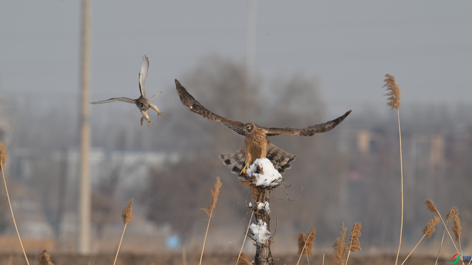 DSC_4742.JPG