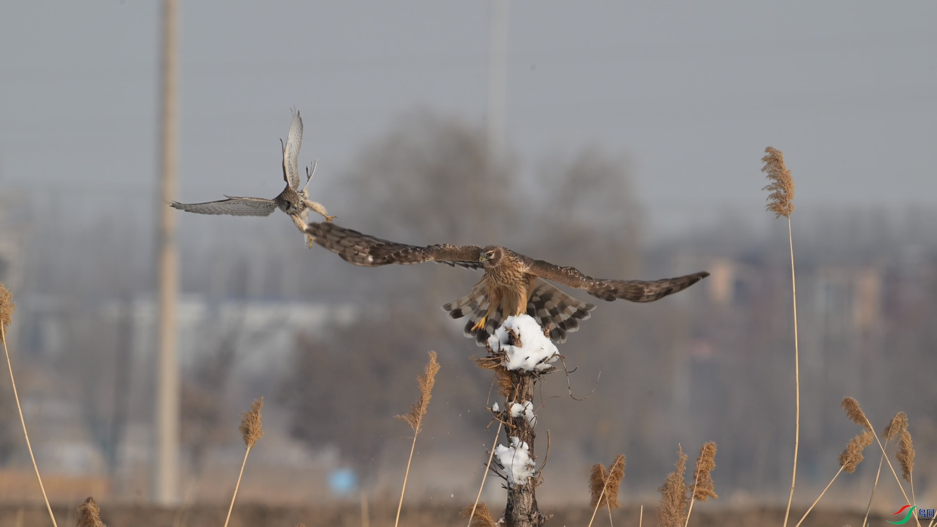 DSC_4744.JPG
