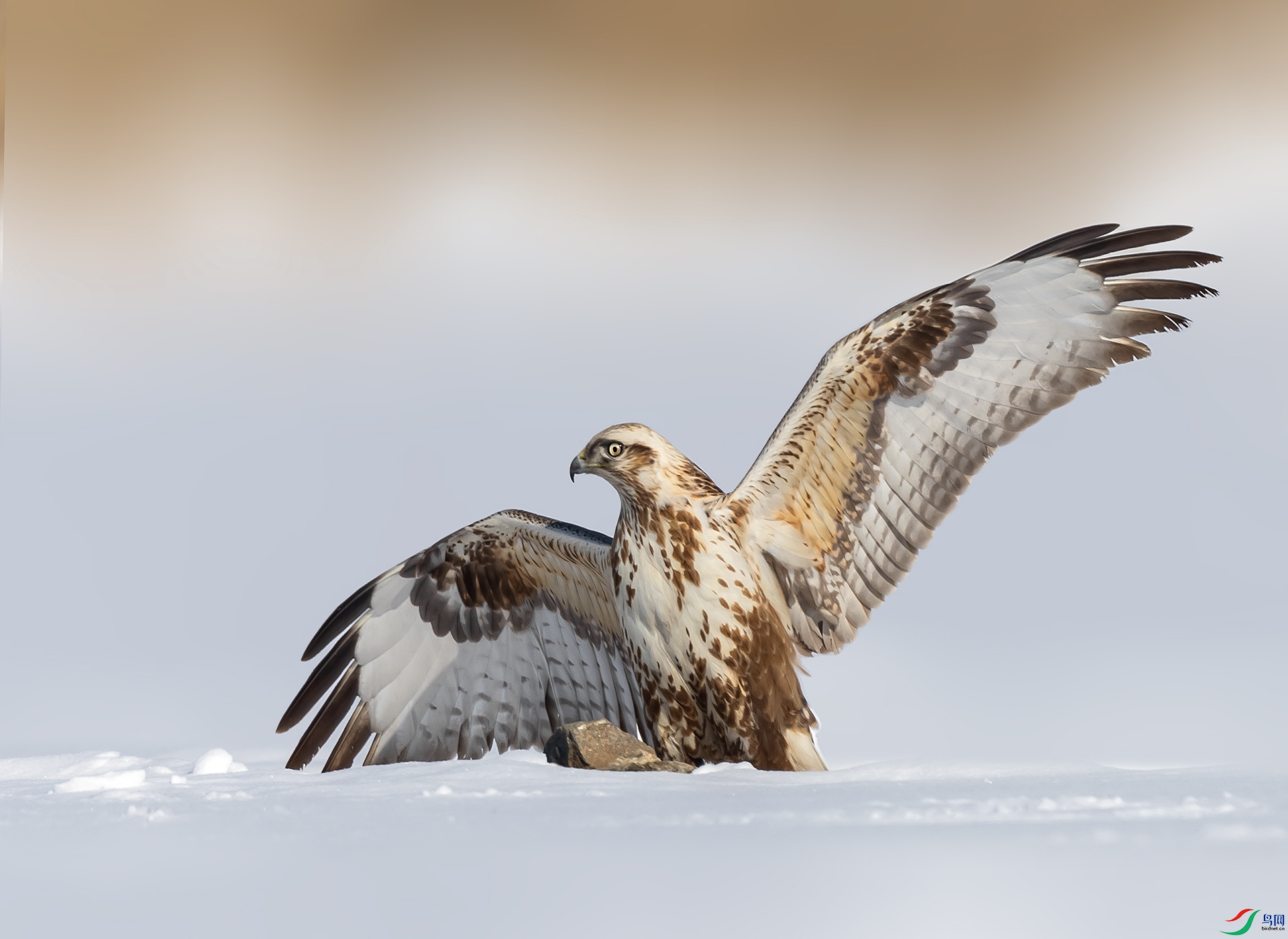 019A7903 ����.jpg