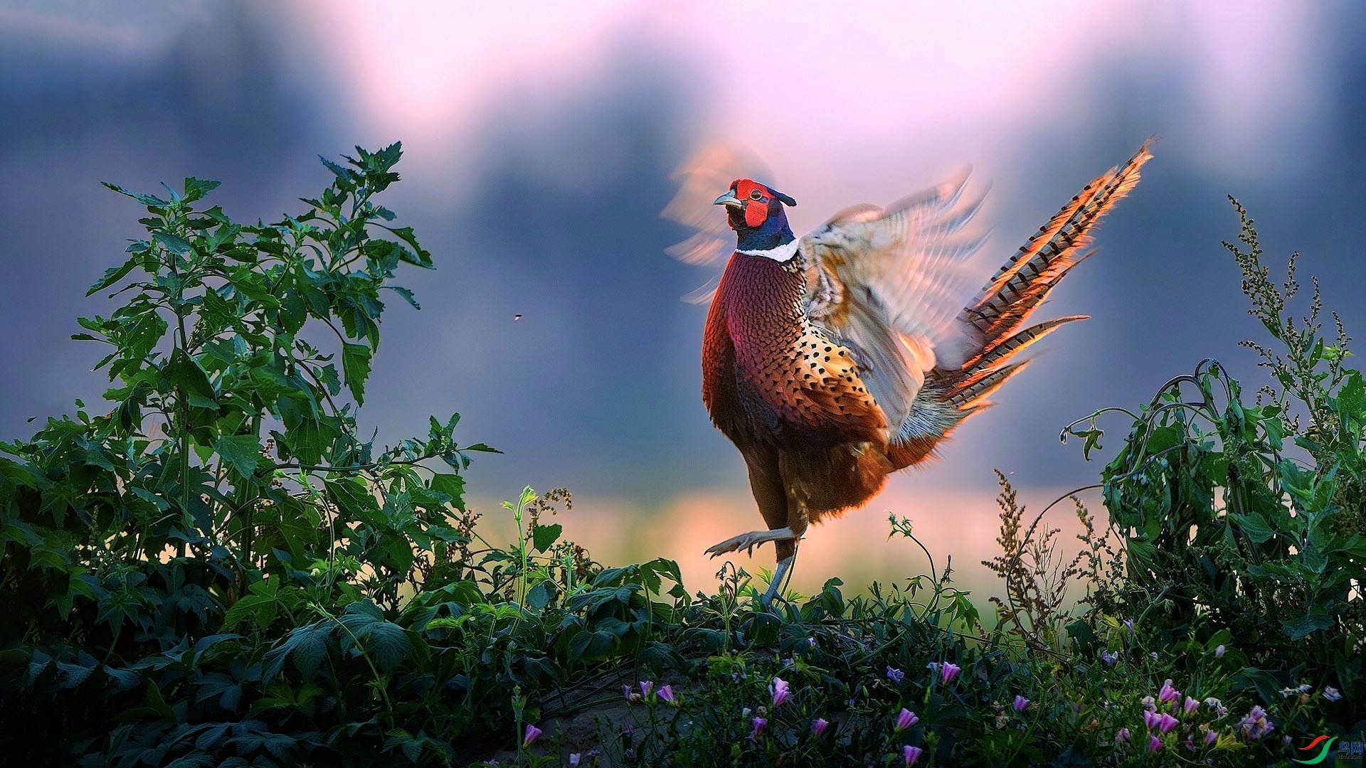 1_DSC1356-����ǿ-NR ���� 2.jpg222.jpeg