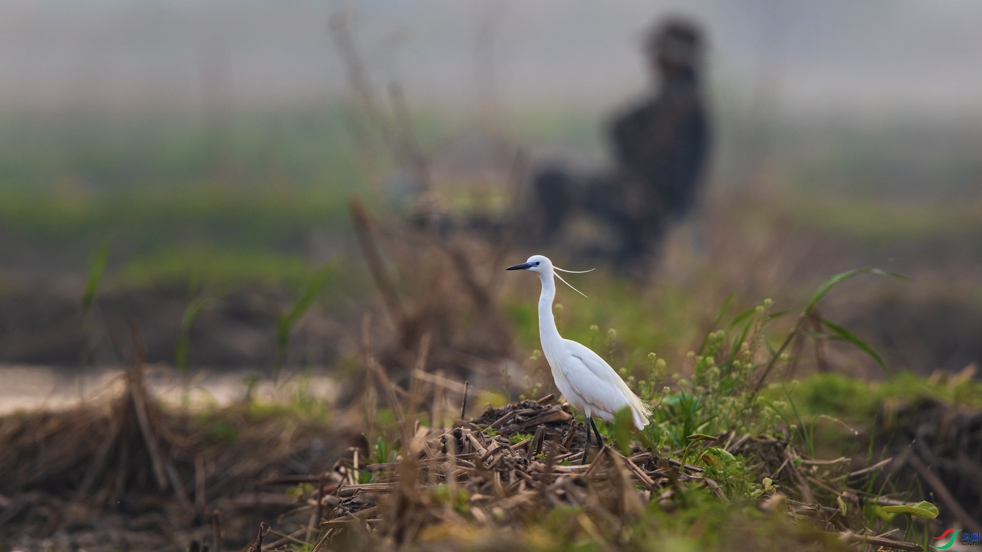 1_XXI2770 ����.jpeg