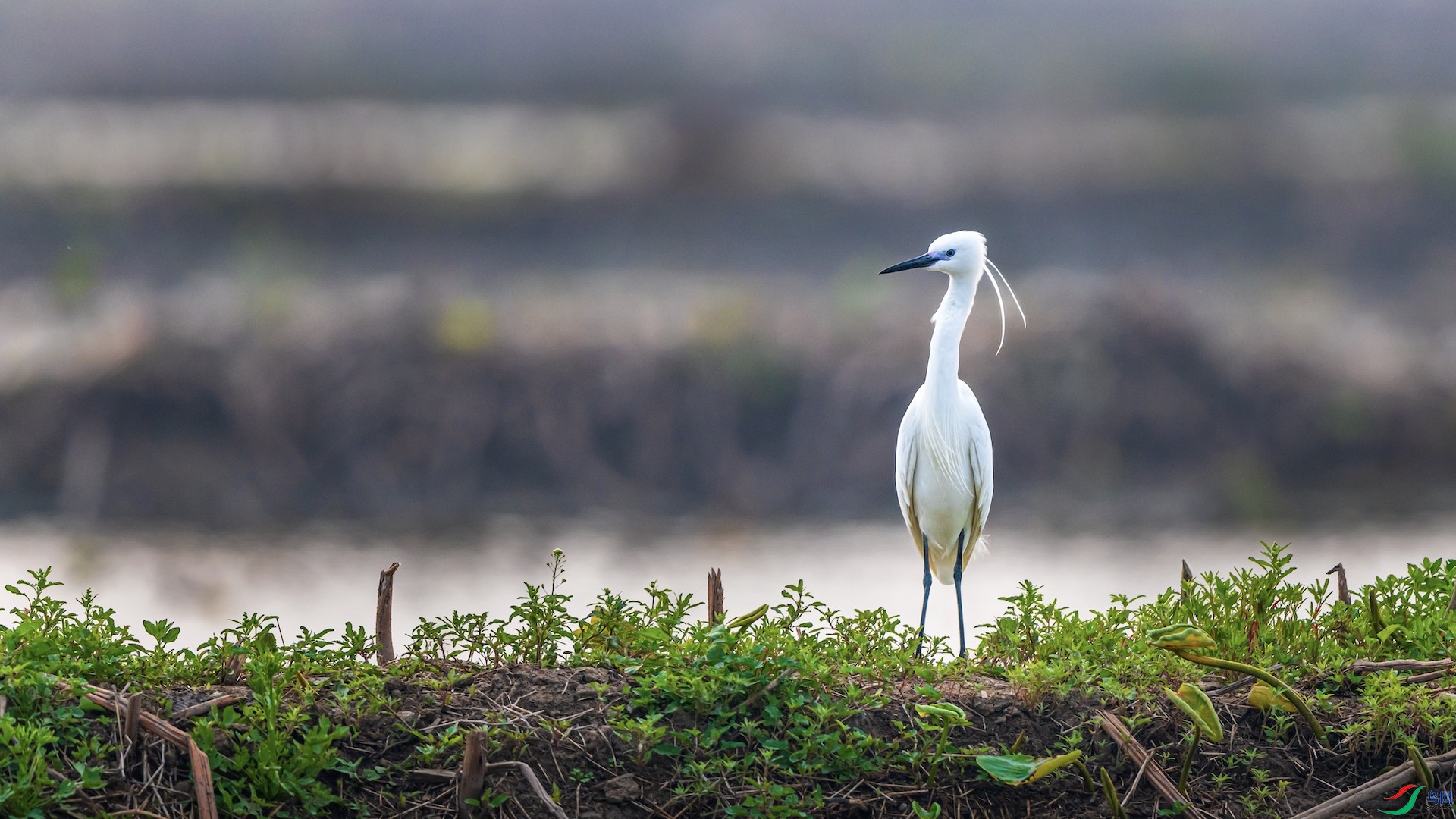 1_XXI2797 ����.jpeg