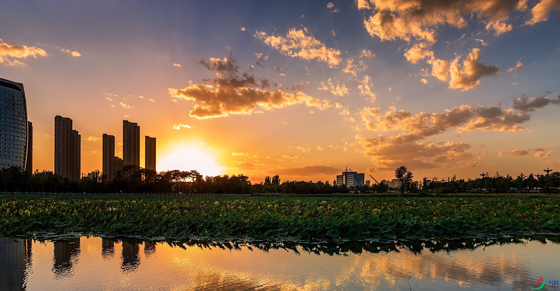 1-XXL8519-����ǿ-NR ����.jpeg