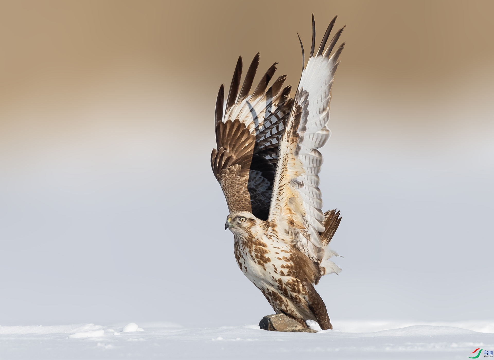 019A7925 ����.jpg