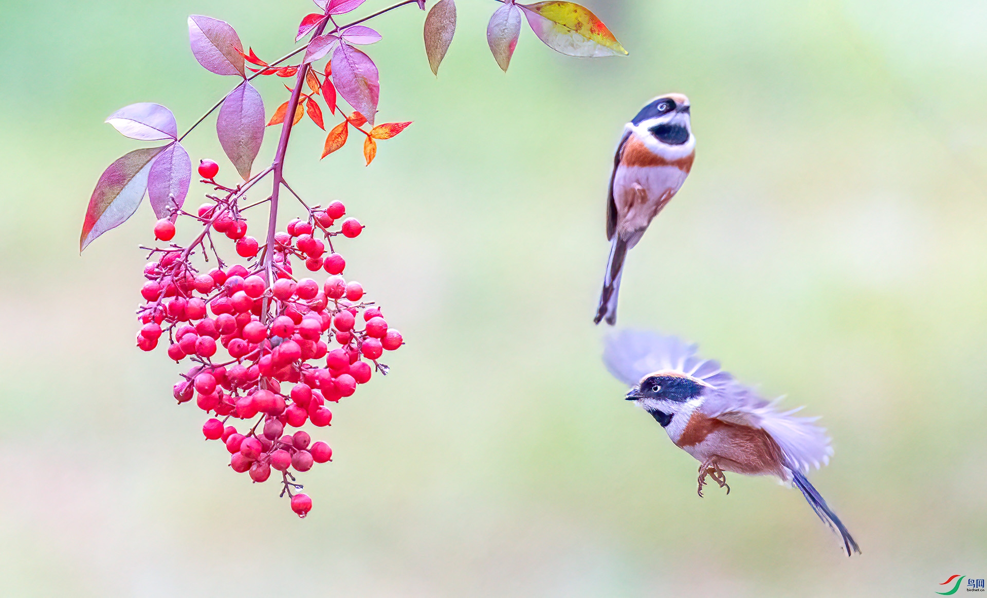 060A0701 ����-Sh----1 .jpg