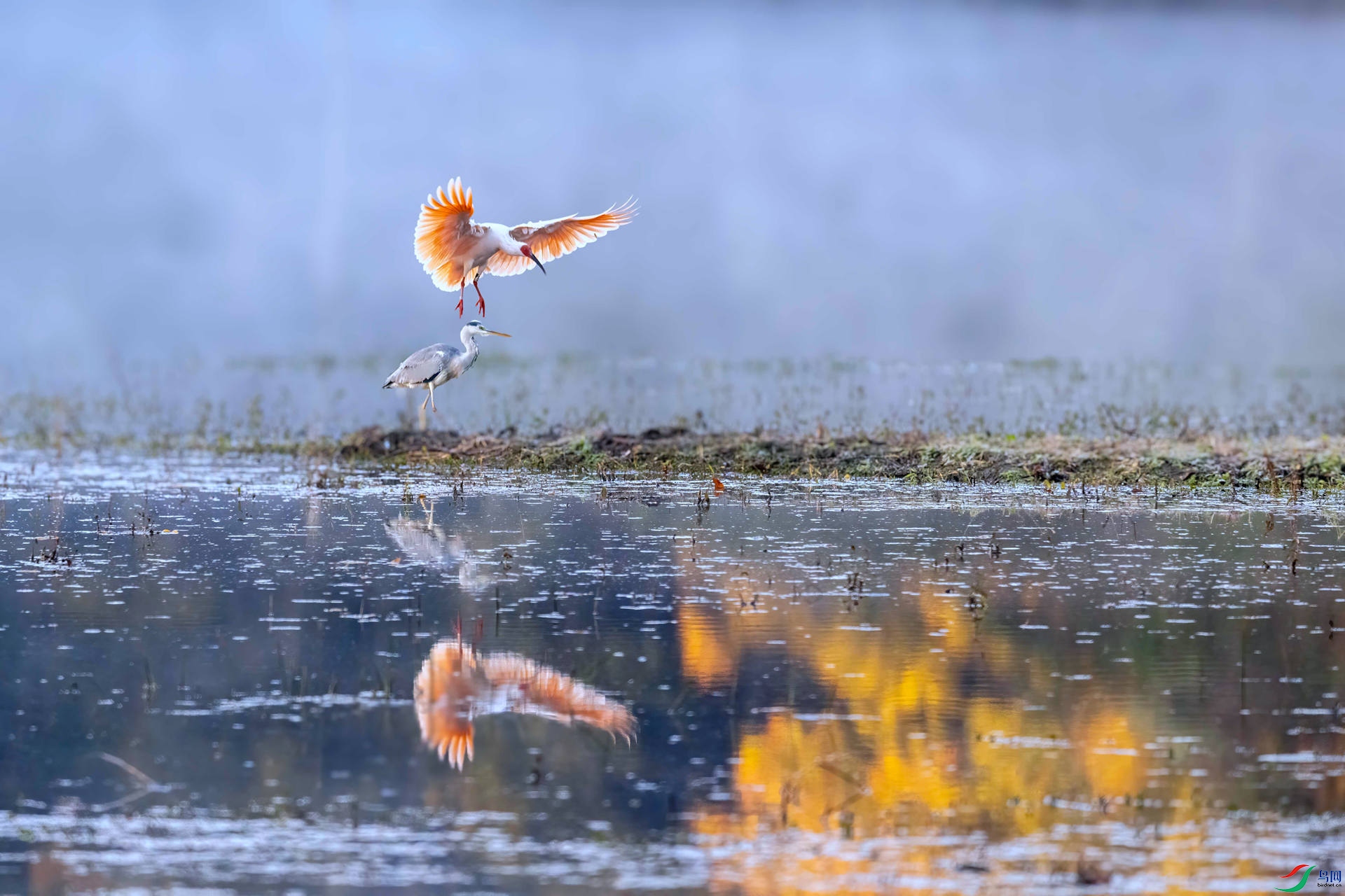 DSC_9225 ����.jpg