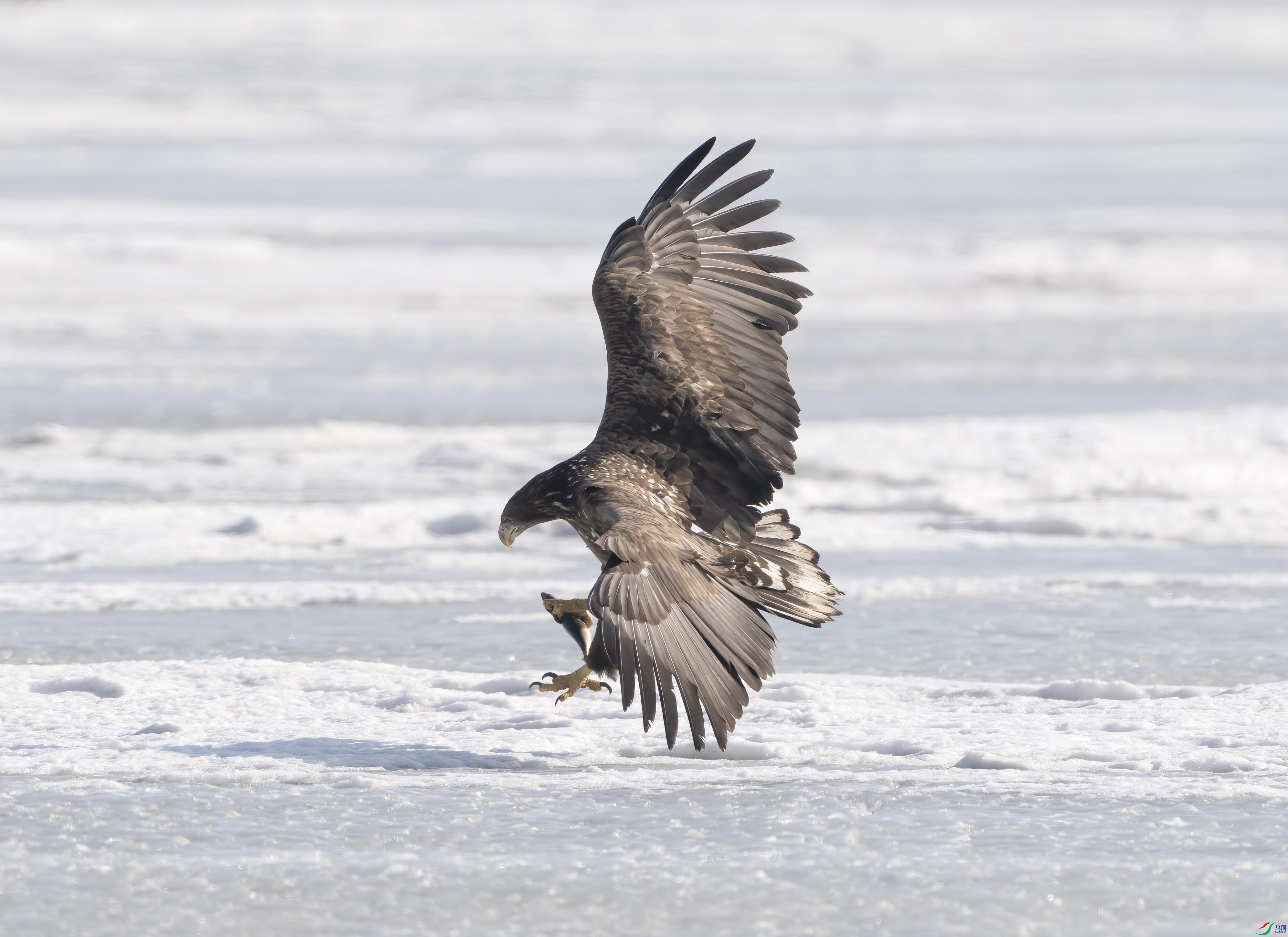 DSC07373 ����.jpg