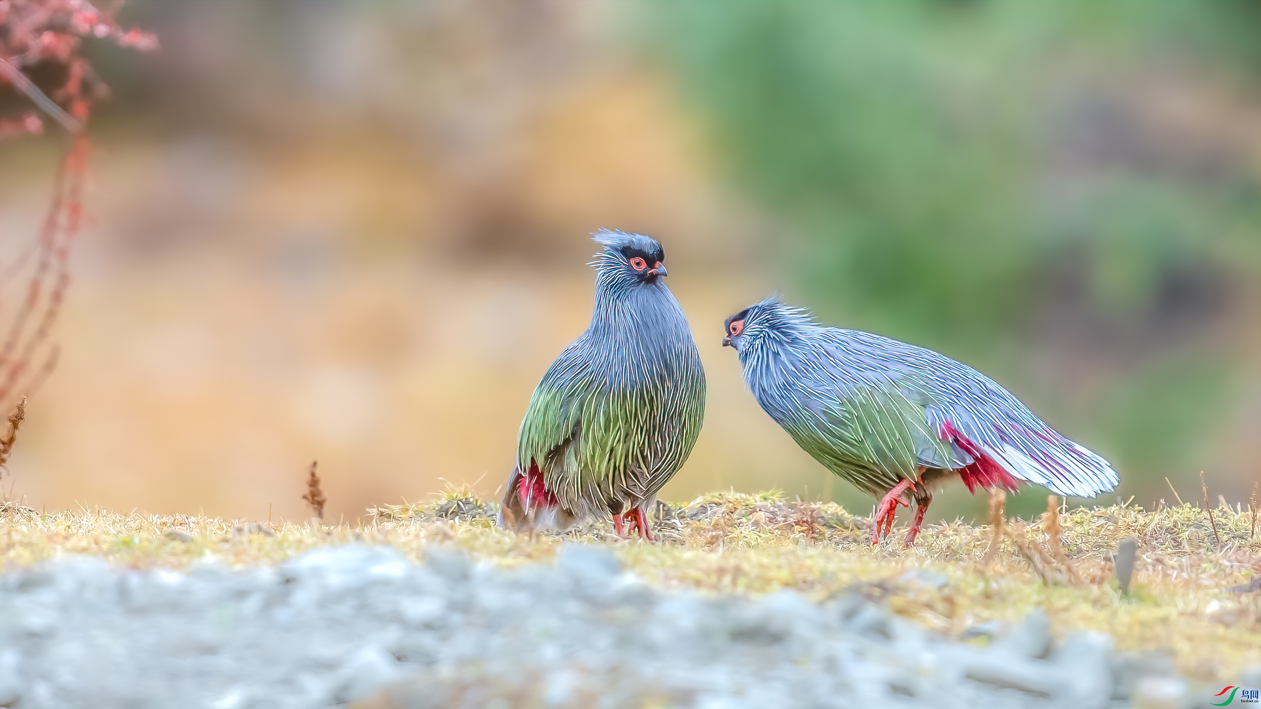 _09R9156 ����.jpg