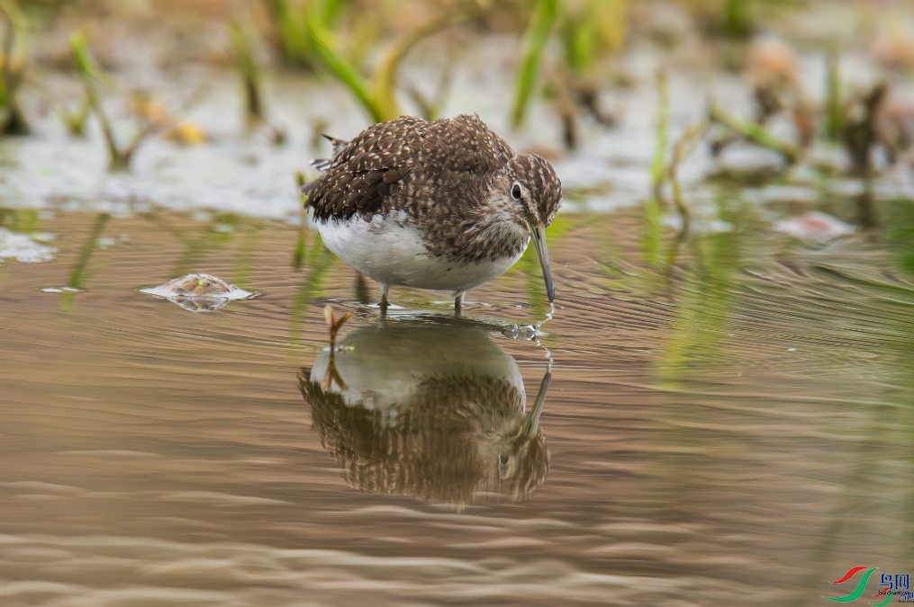 �������ѡ����Ծ���ױ�����ٻ����Ѿ�������ɽ���� 20.png