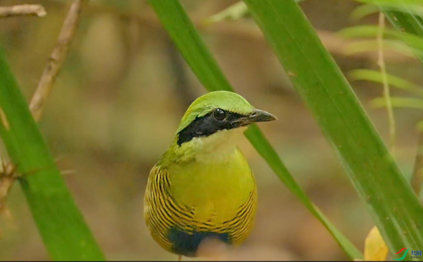 {B9430776-9F5E-4C1A-A37E-7F26BB27B0DE} ����.jpg