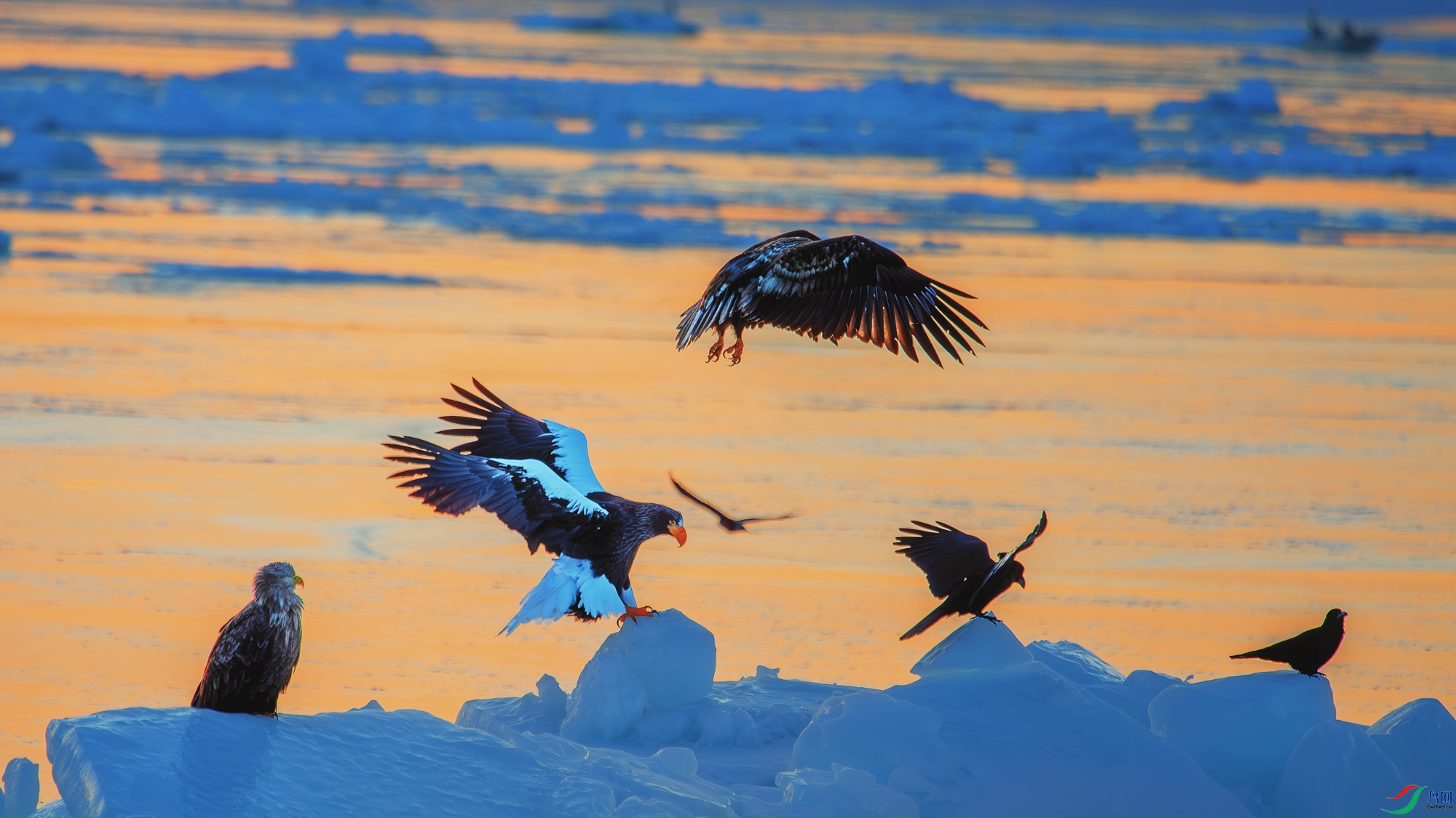 DSC_6179-����ǿ-NR ����_1.jpg