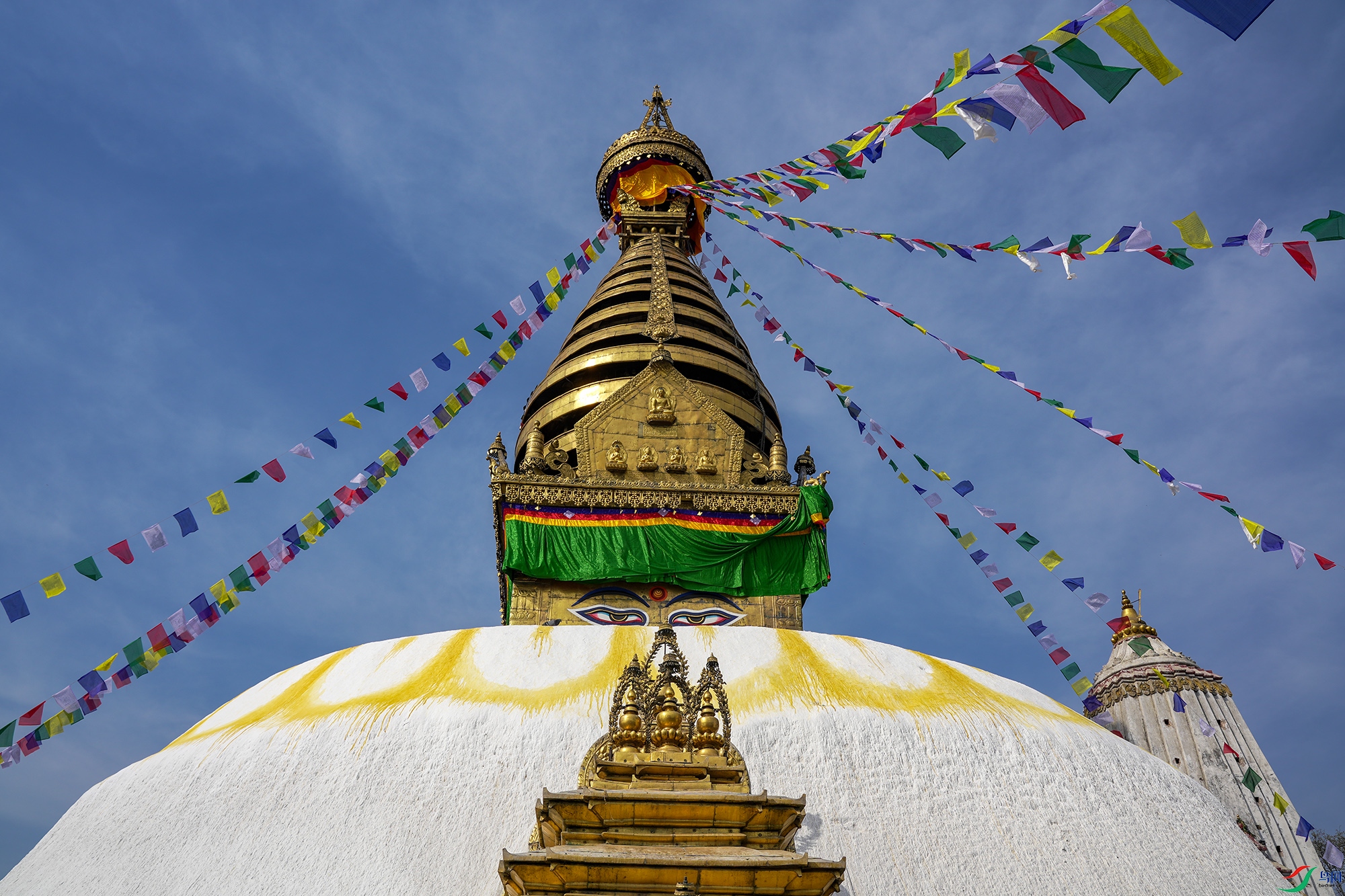 DSC02438 ����22.jpg