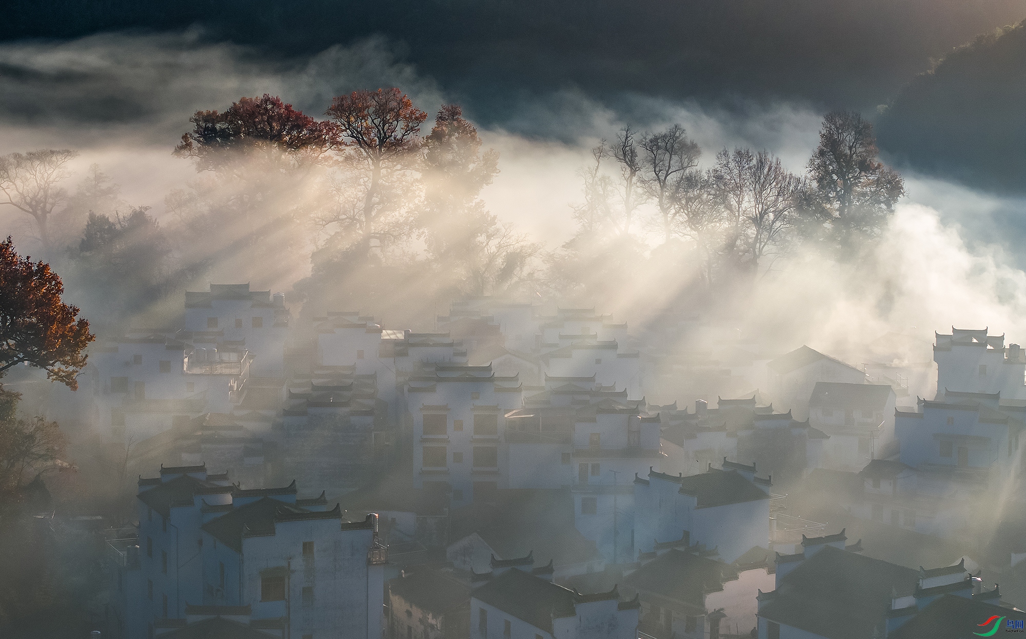 DJI_20241129073942_0049_D ����33333333333333.jpg