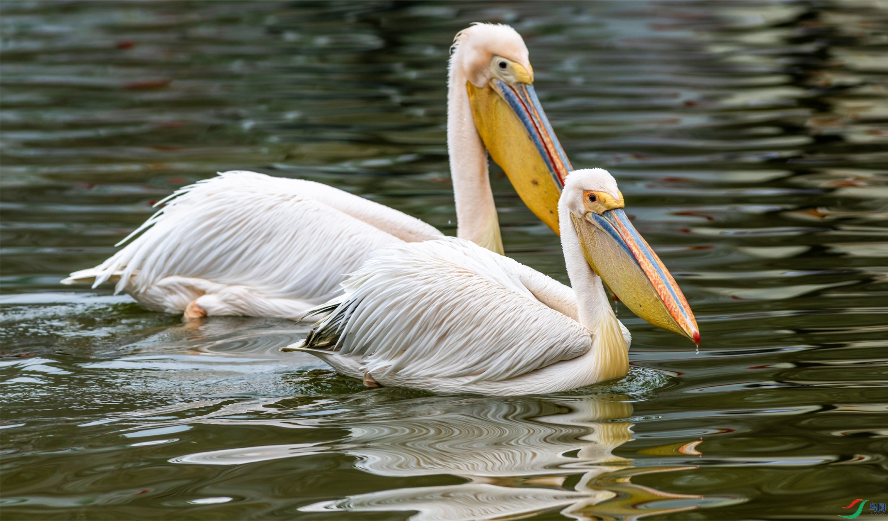 17 ������OK ����.jpg