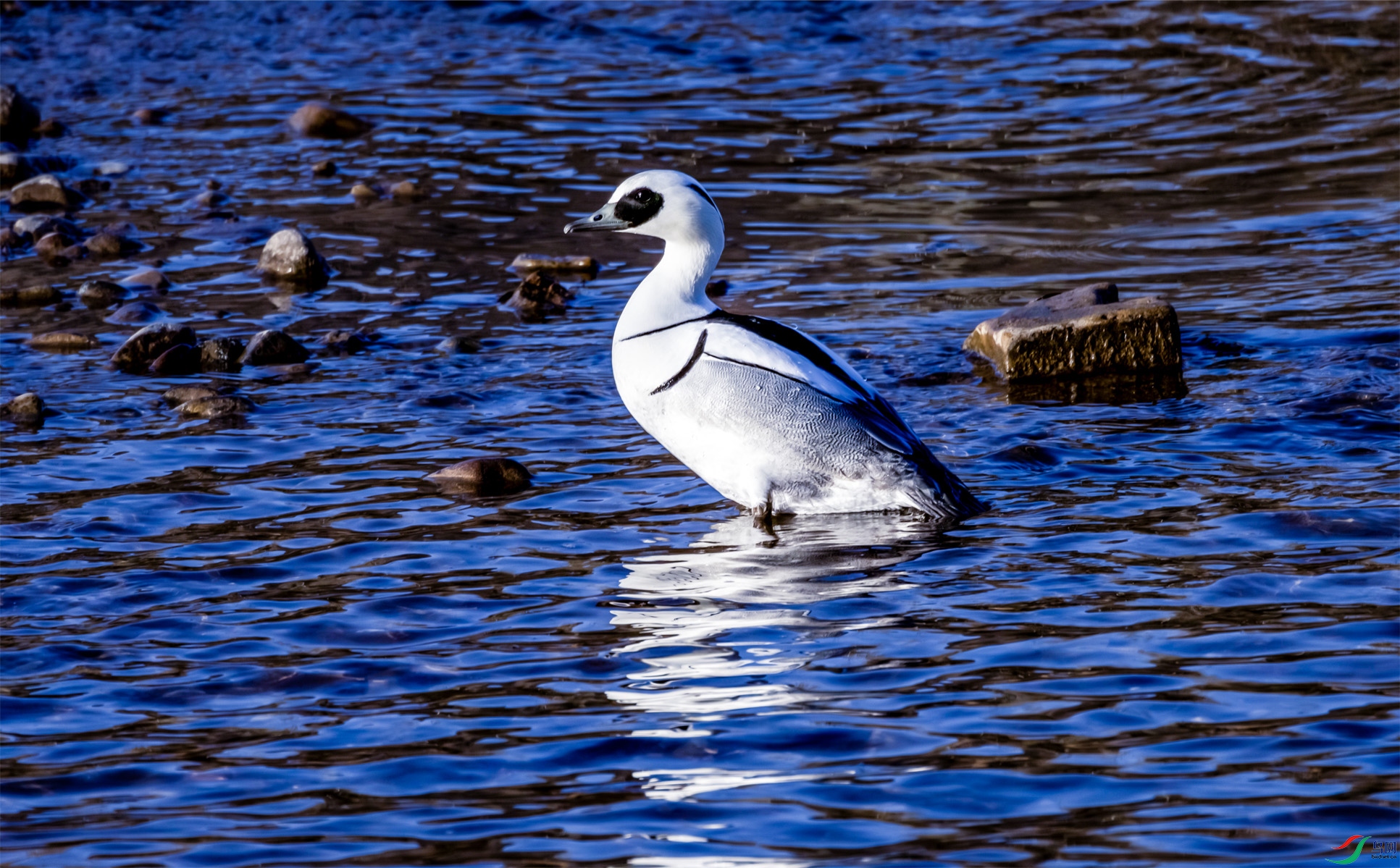 68- ����ɳѼOK ����.jpg