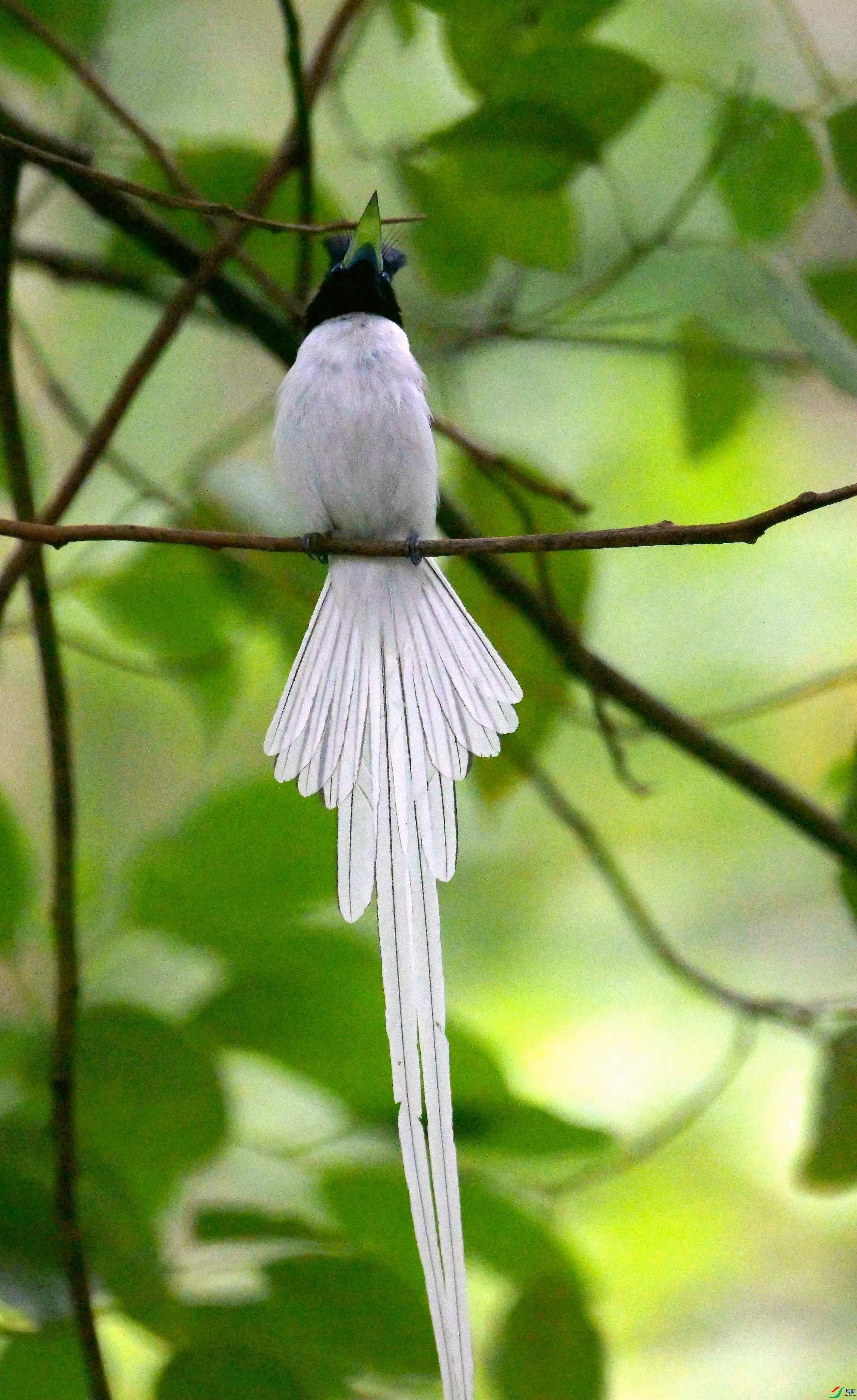 DSC_9491.jpg