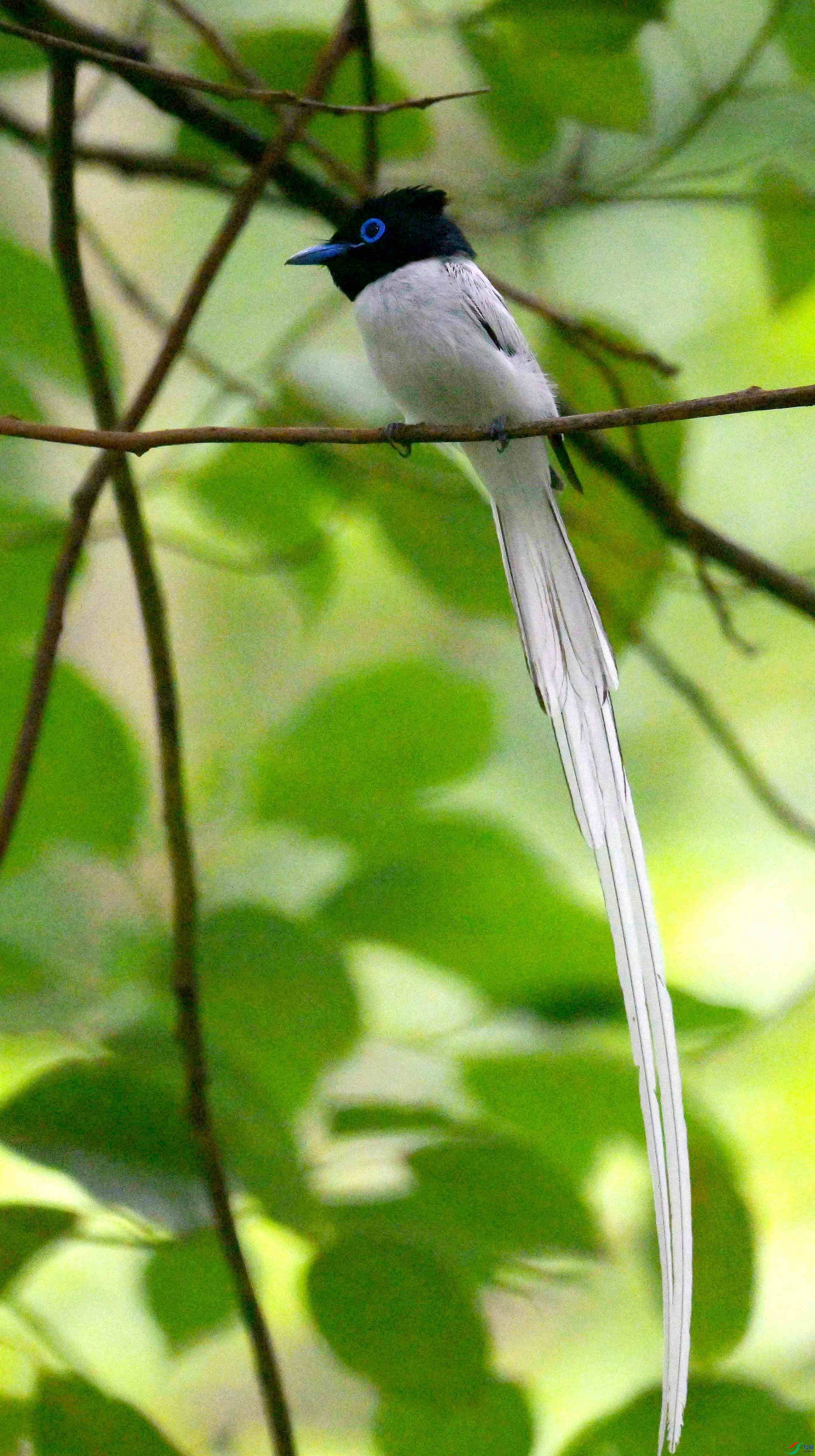 DSC_9537.jpg