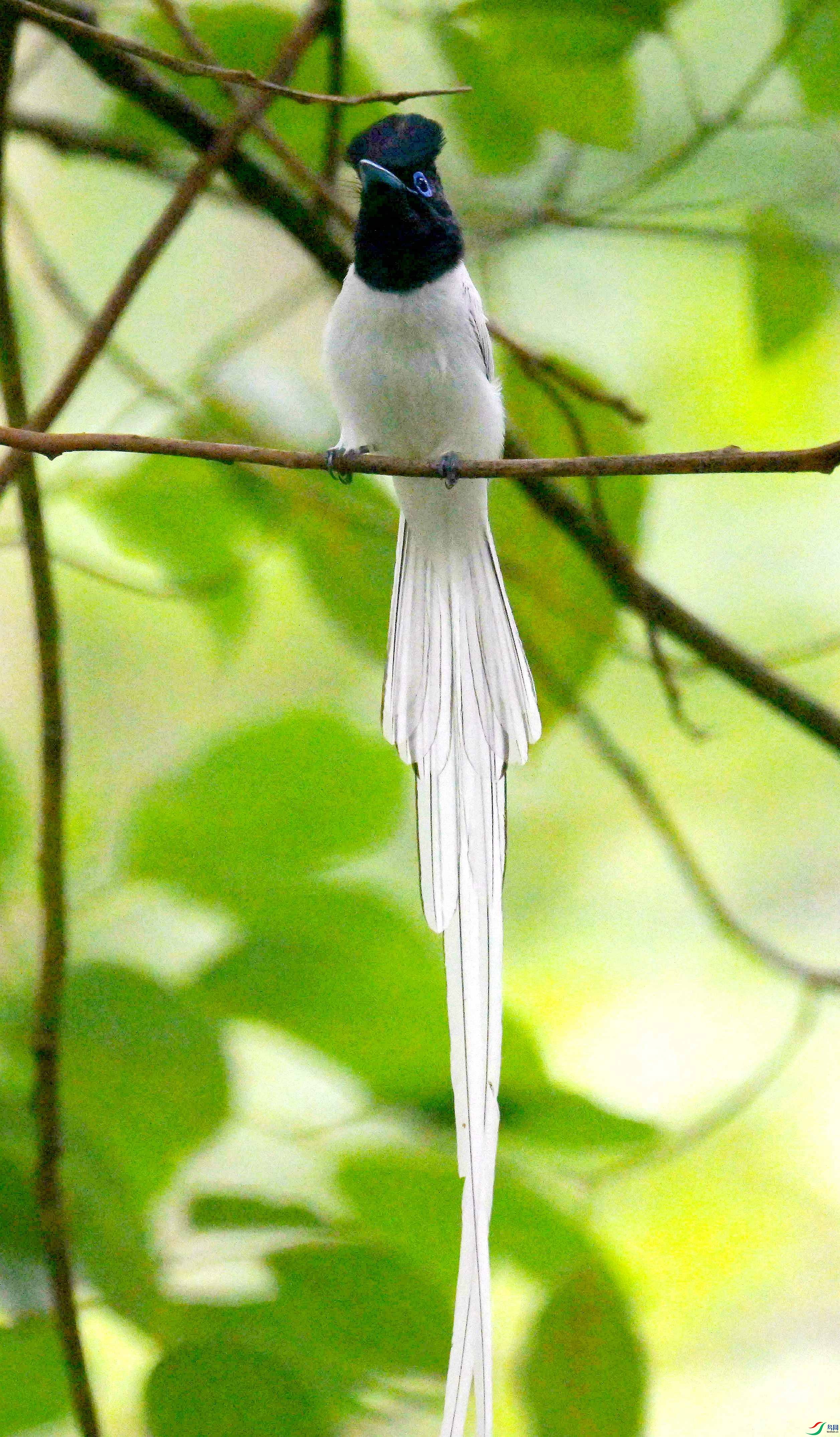 DSC_9517.jpg