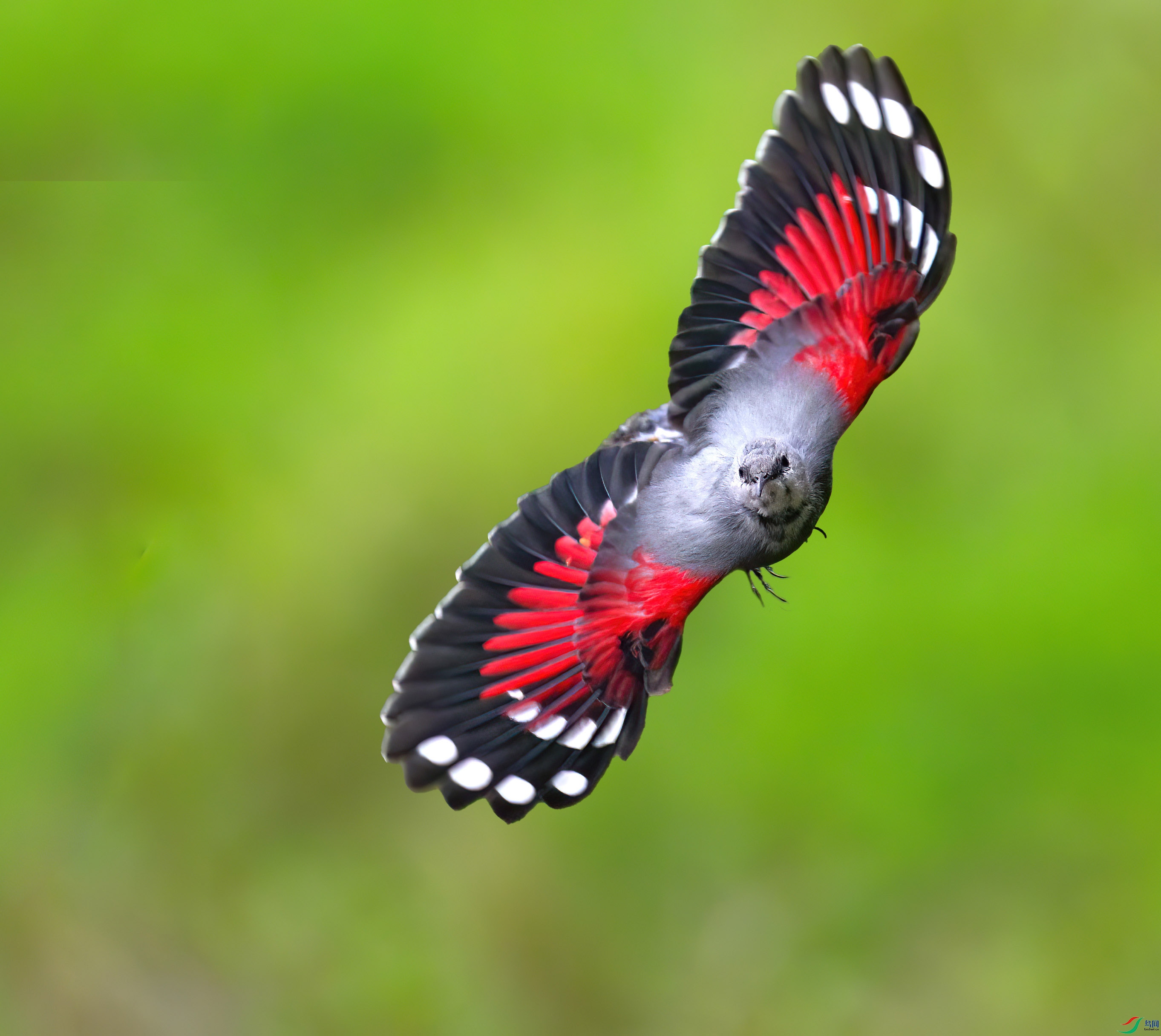 DSC_8156 ����-x.jpg