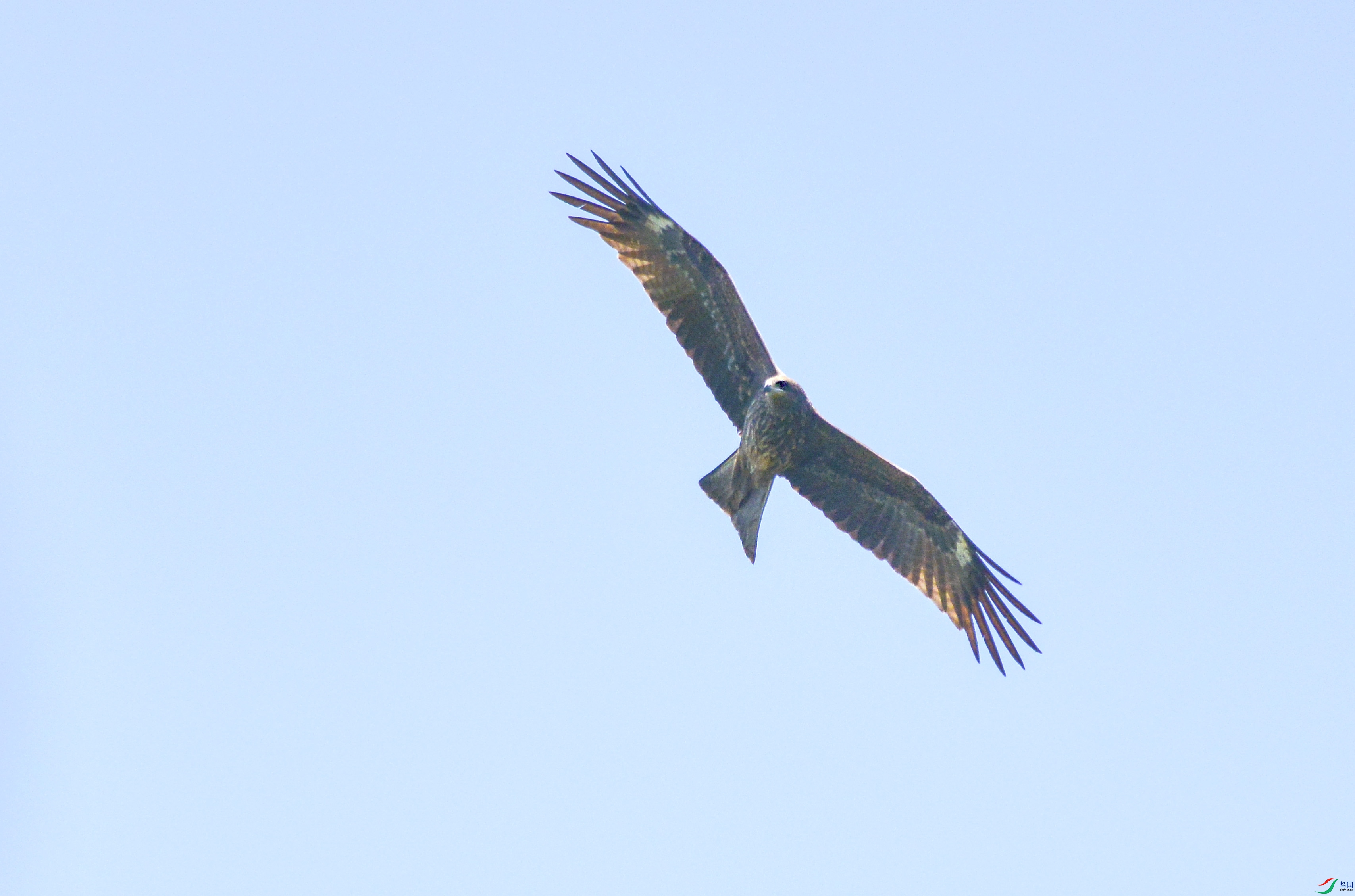 DSC_6829.jpg