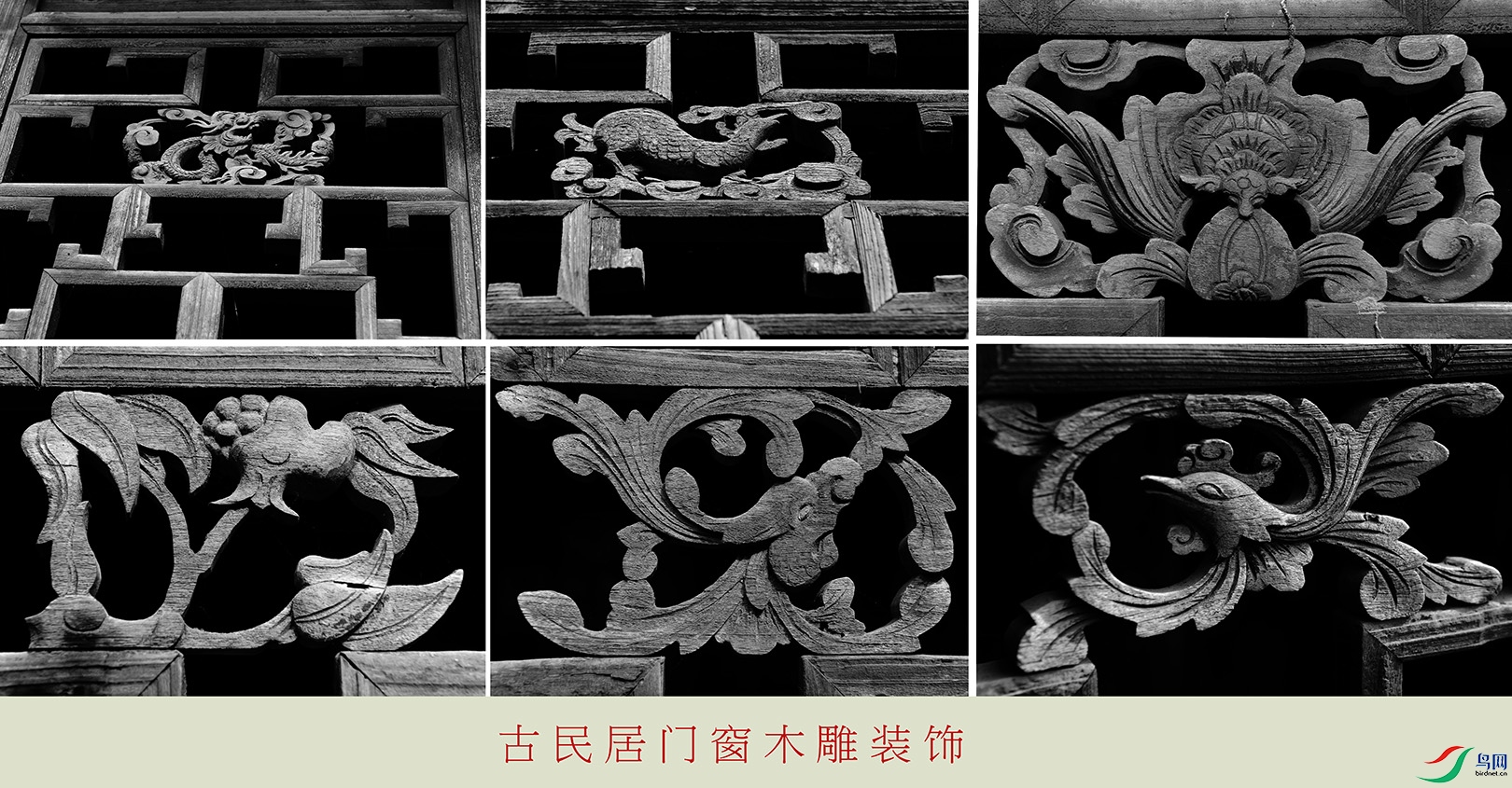 �������� (4).jpg