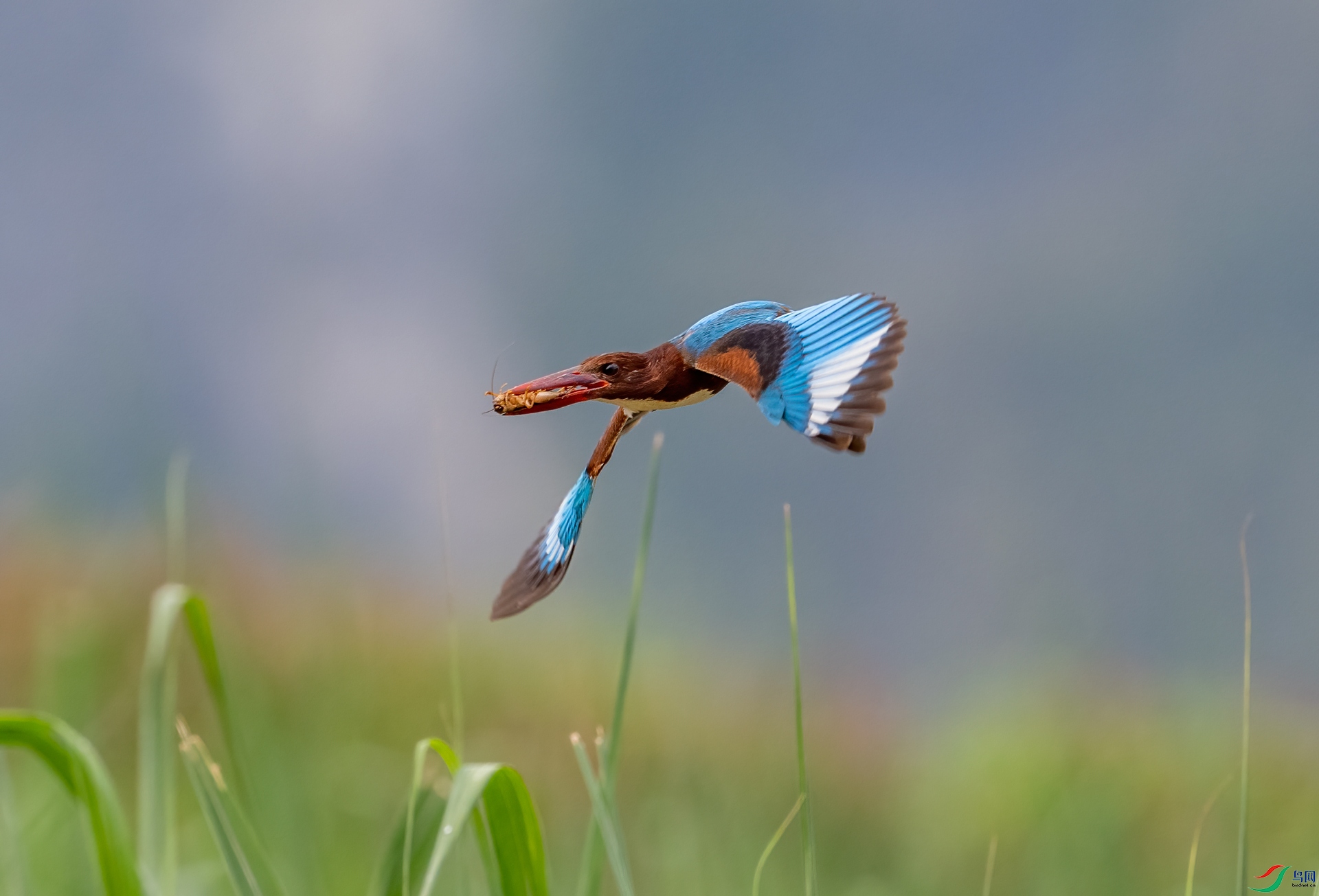 DSC_7616.jpg