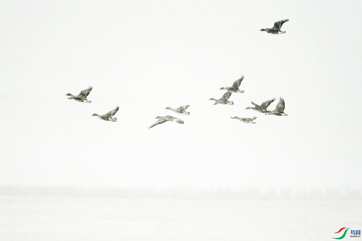 _DSC4881.jpg