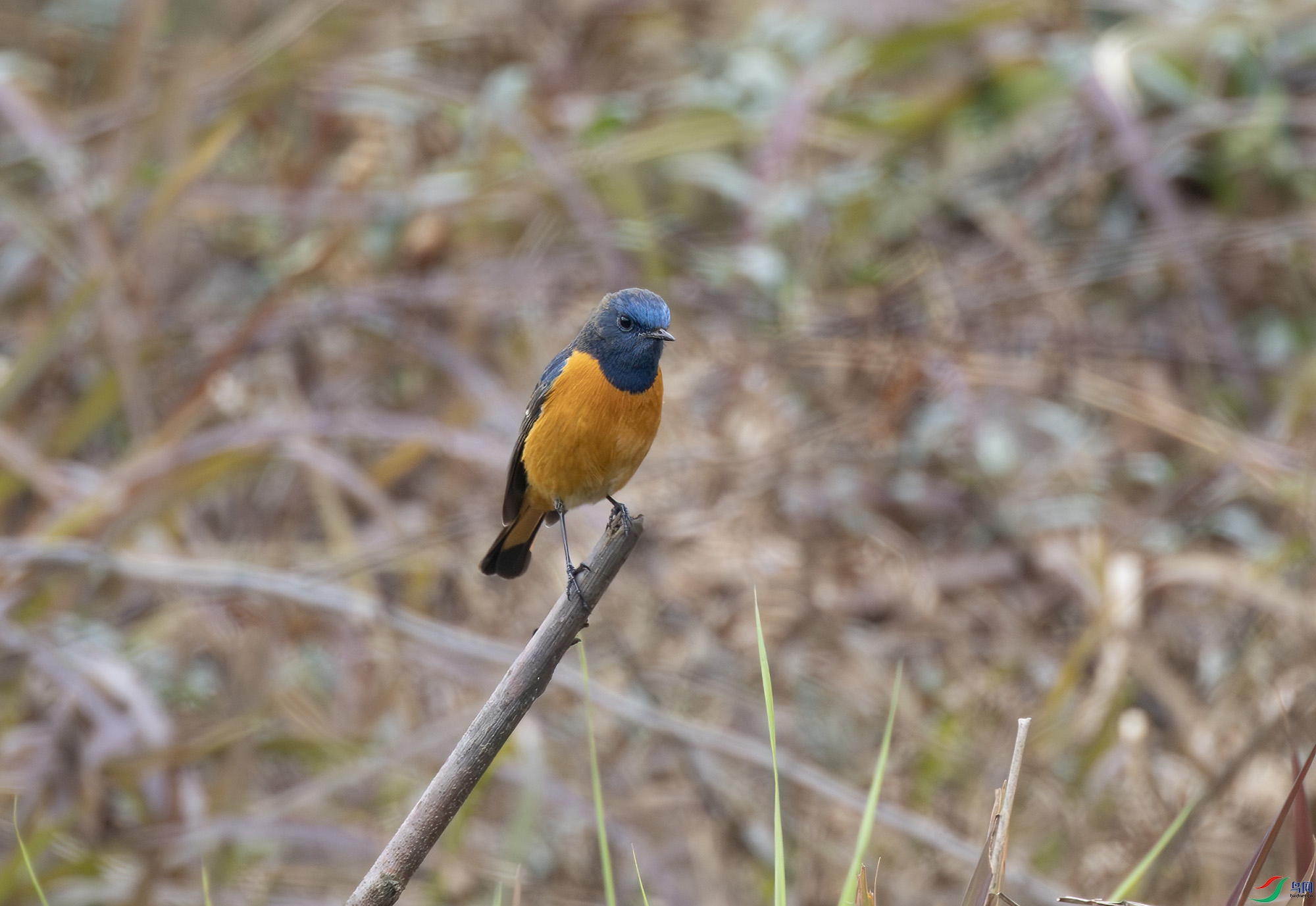 2I1A5299-����ǿ-NR ����.jpg